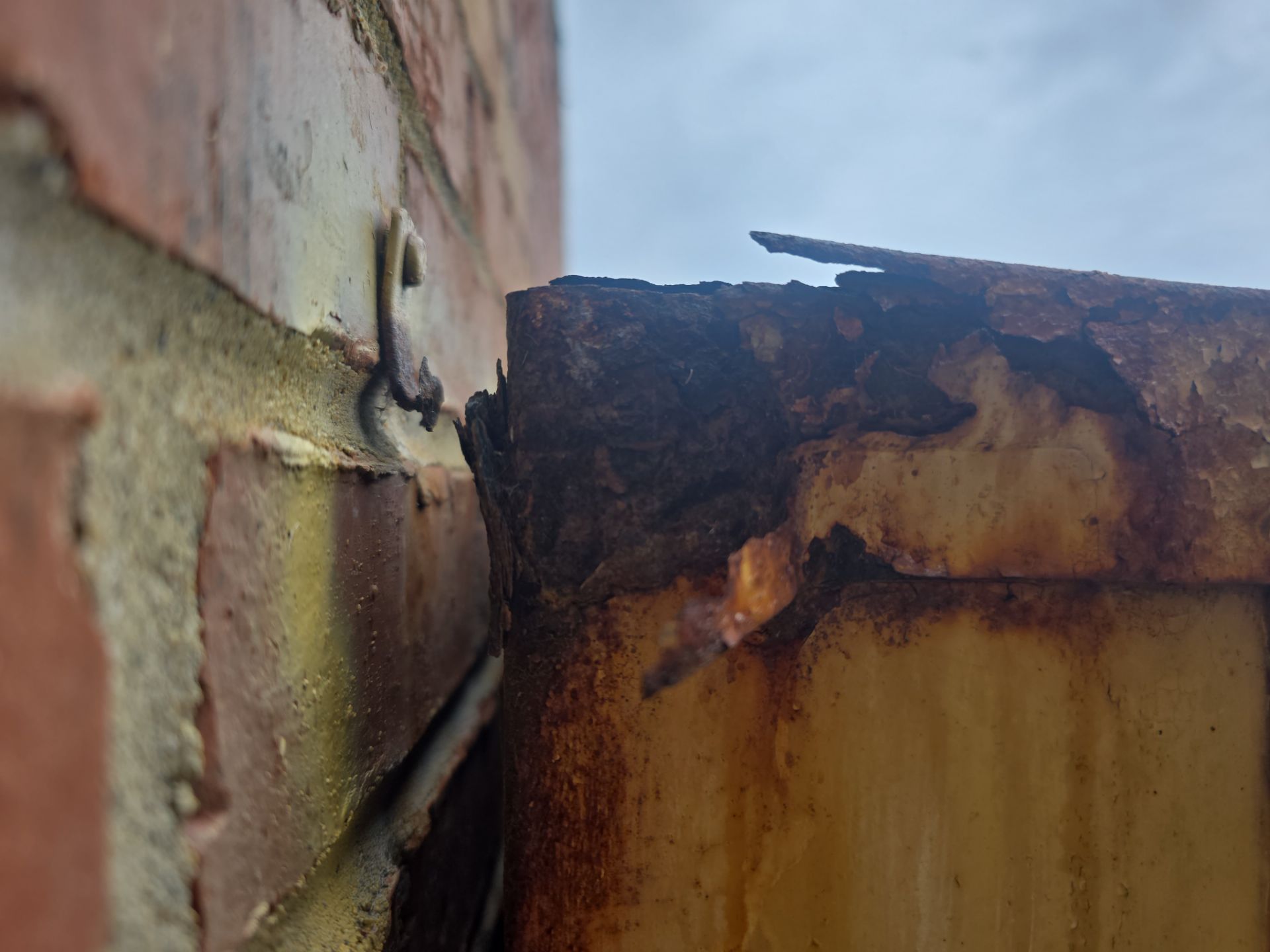  for Kodiak Electric LLC in Pleasant Hope, MO