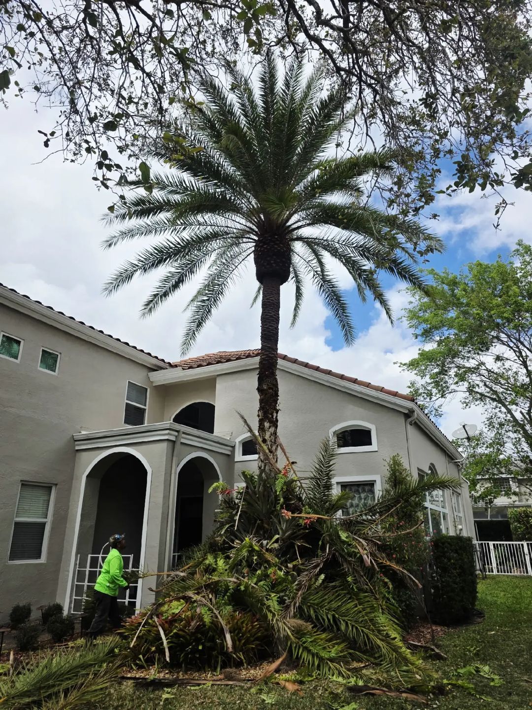  for Bridgewater Arbor Care LLC in Jupiter, FL