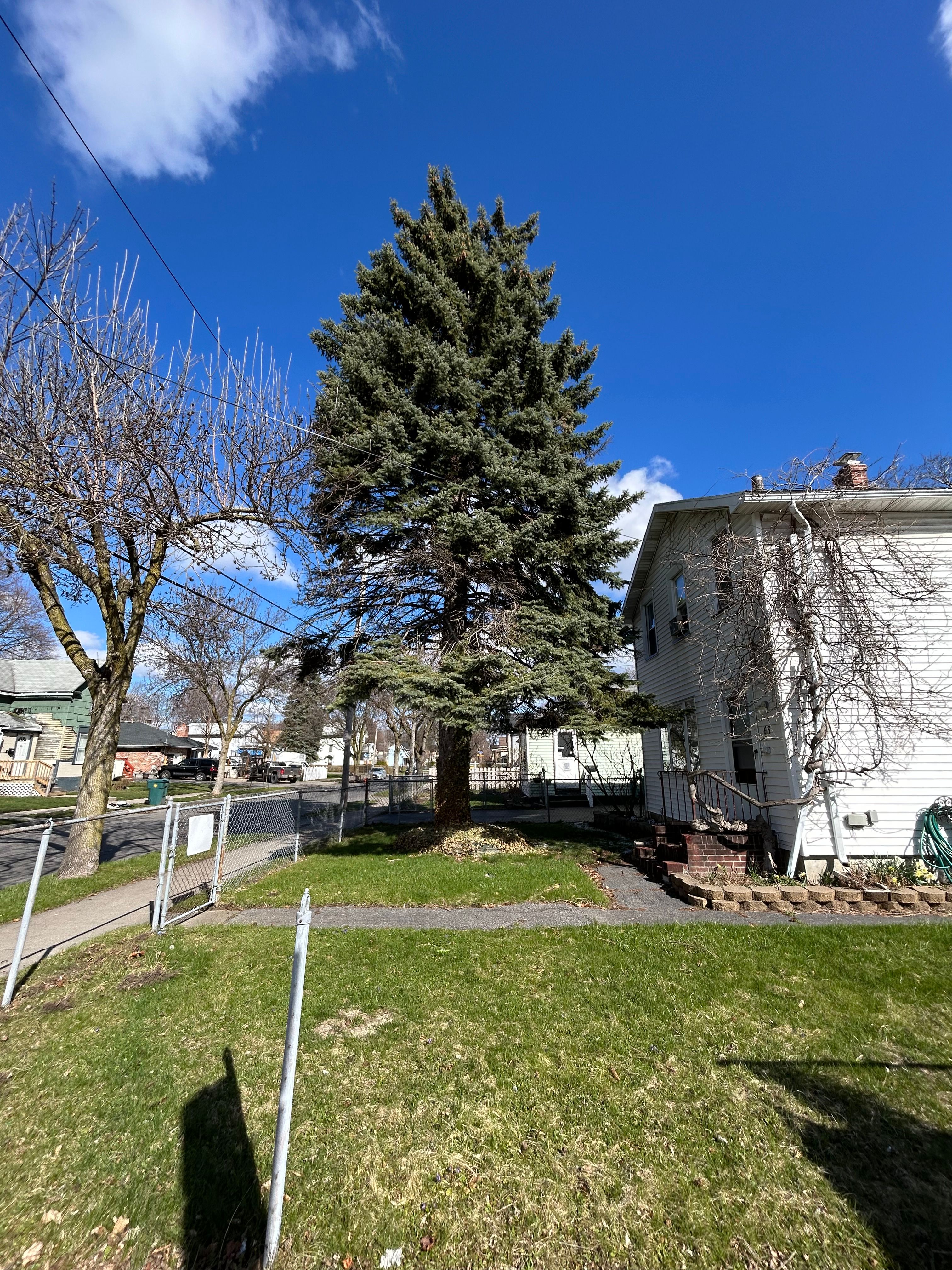  for S.H. Tree Service LLC in Hilton, NY