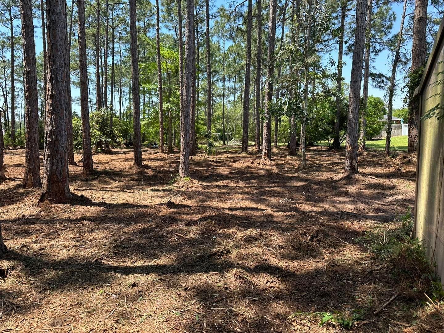  for White’s Land Maintenance in Milton,, FL