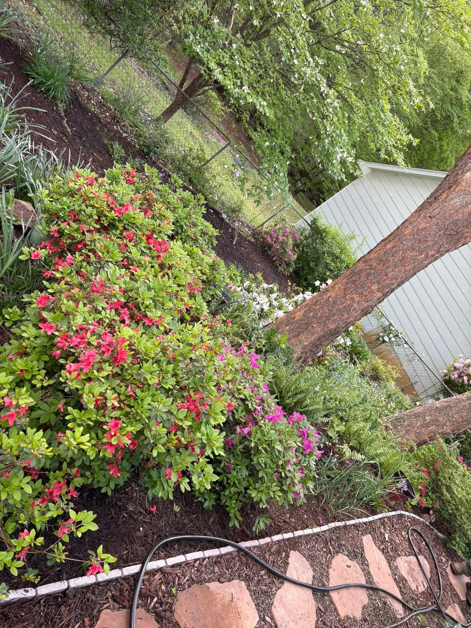 All Photos for Henry’s Lawn Care & Landscaping, LLC in Wendell, NC