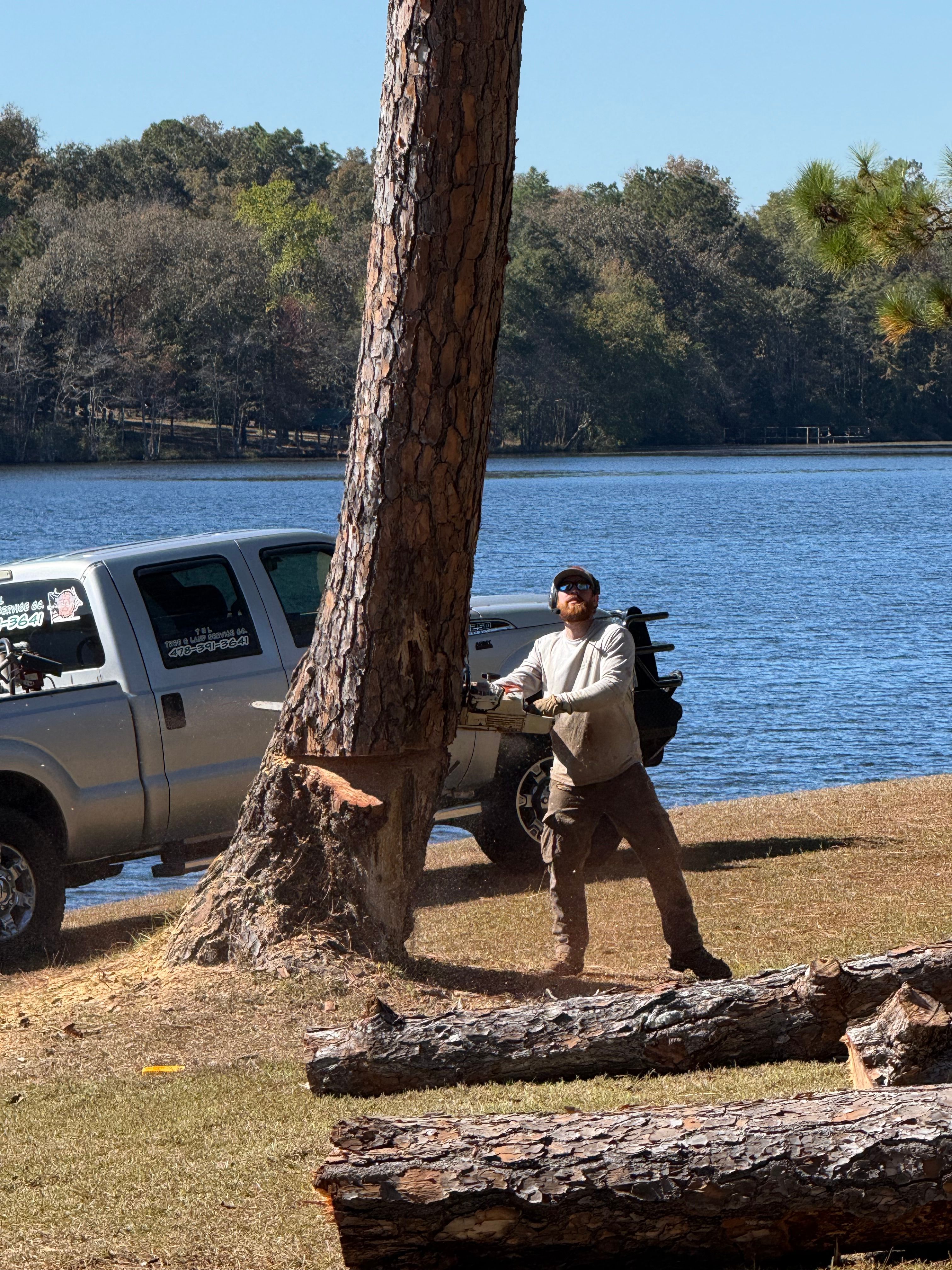  for T N L - Tree and Land Service in Reynolds, GA