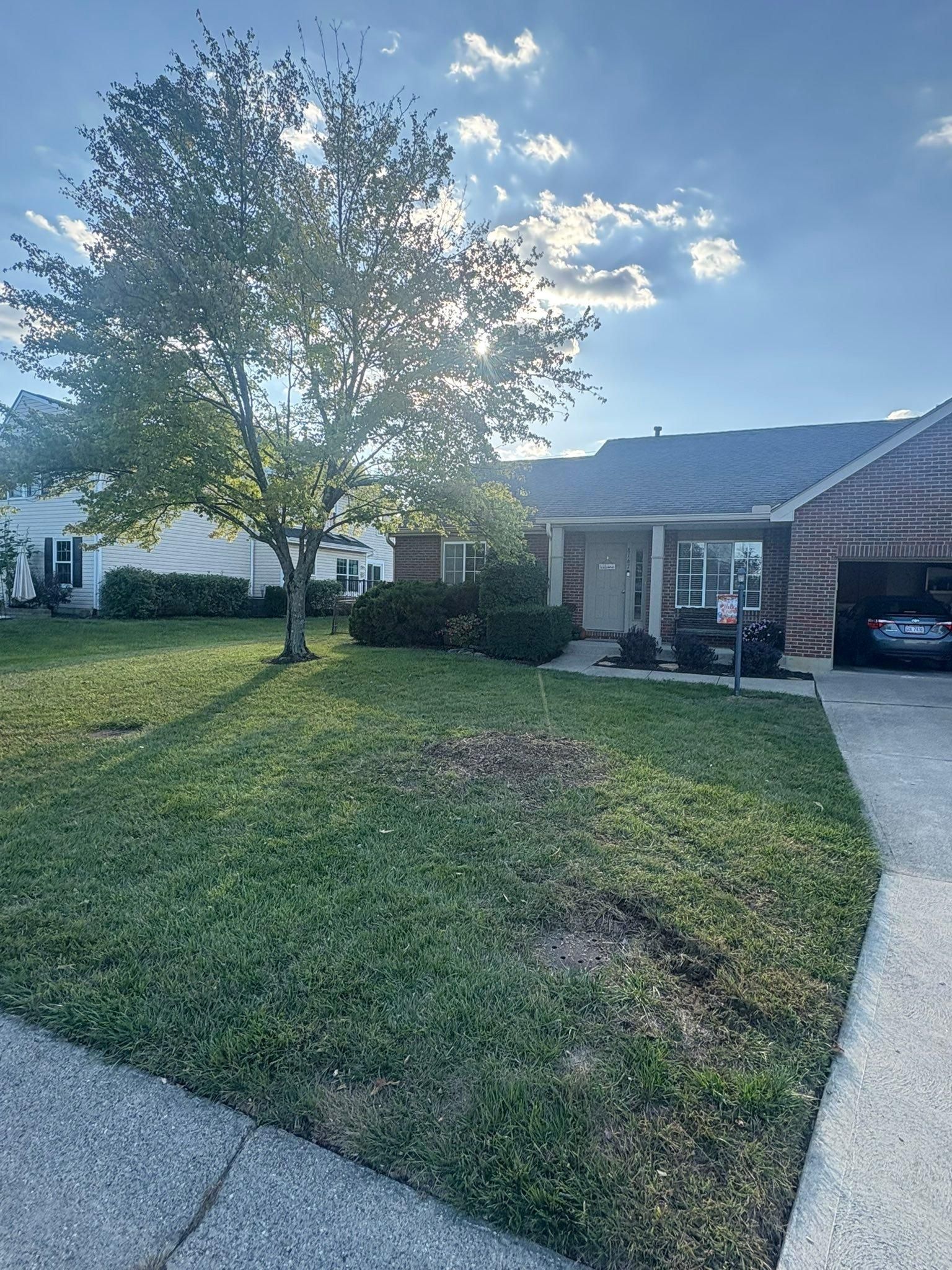  for Dig-It Tree Company in , 