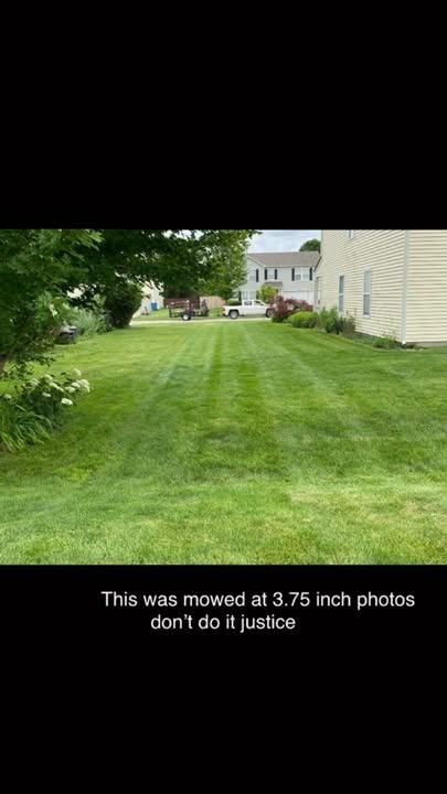 for Bearforce Lawn Care LLC in Greenfield, IN