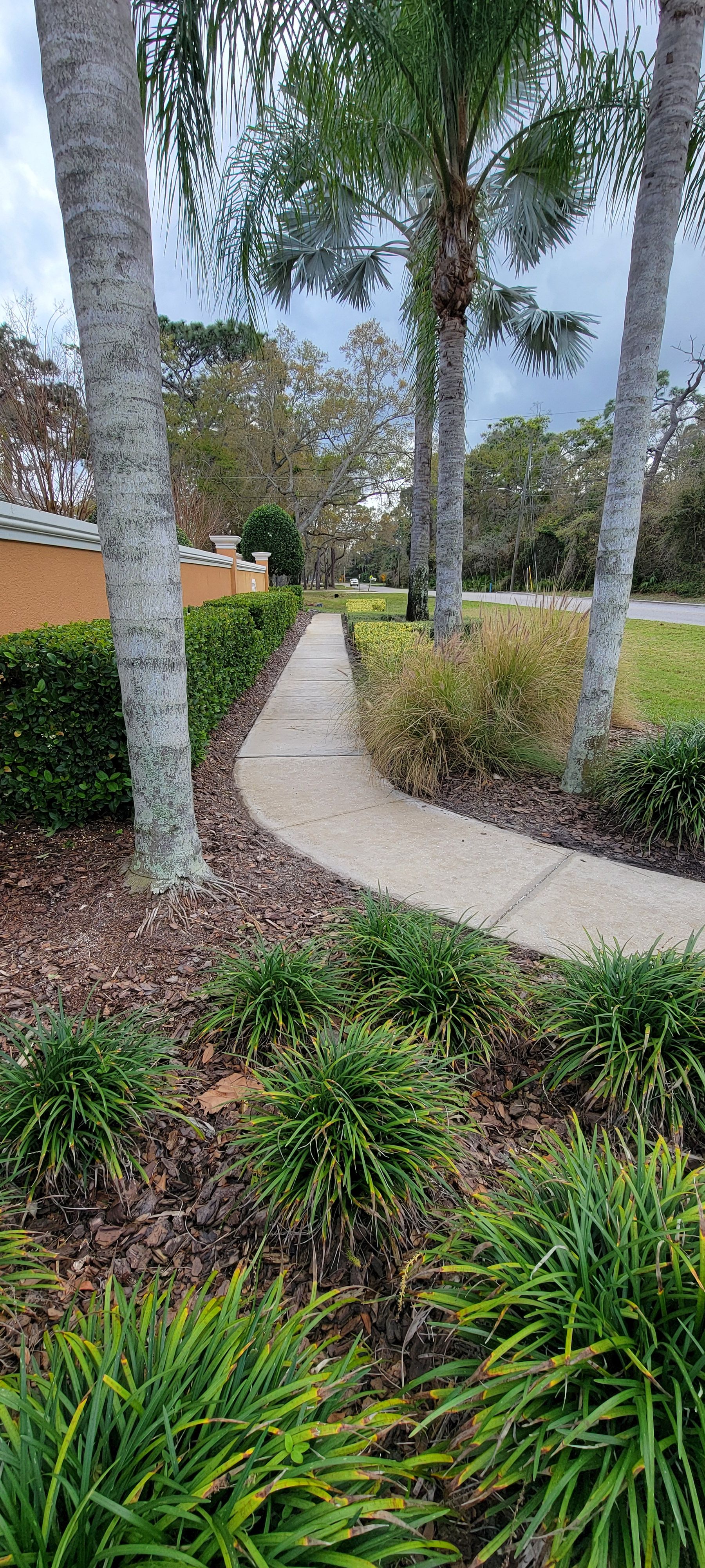  for Blue Stream Roof Cleaning & Pressure Washing in Tampa, FL