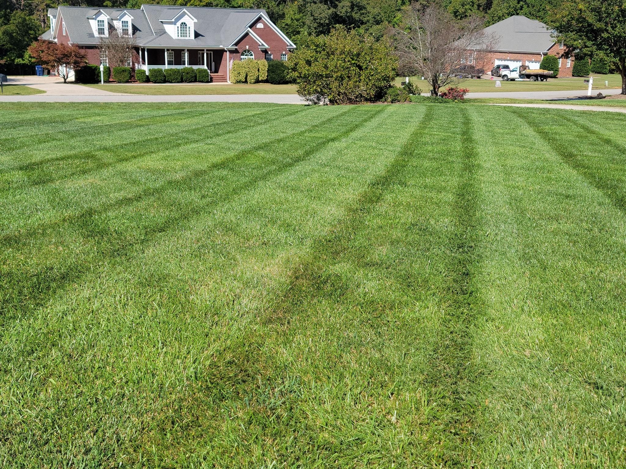  for Piedmont Lawn and Landscaping in Lexington, NC