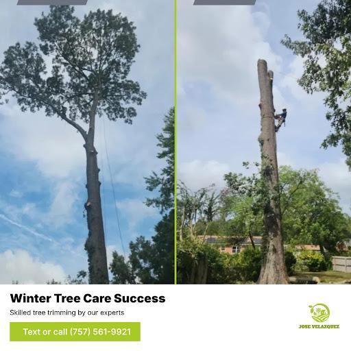  for Jose's Lawn Care & Tree Service in Williamsburg, VA