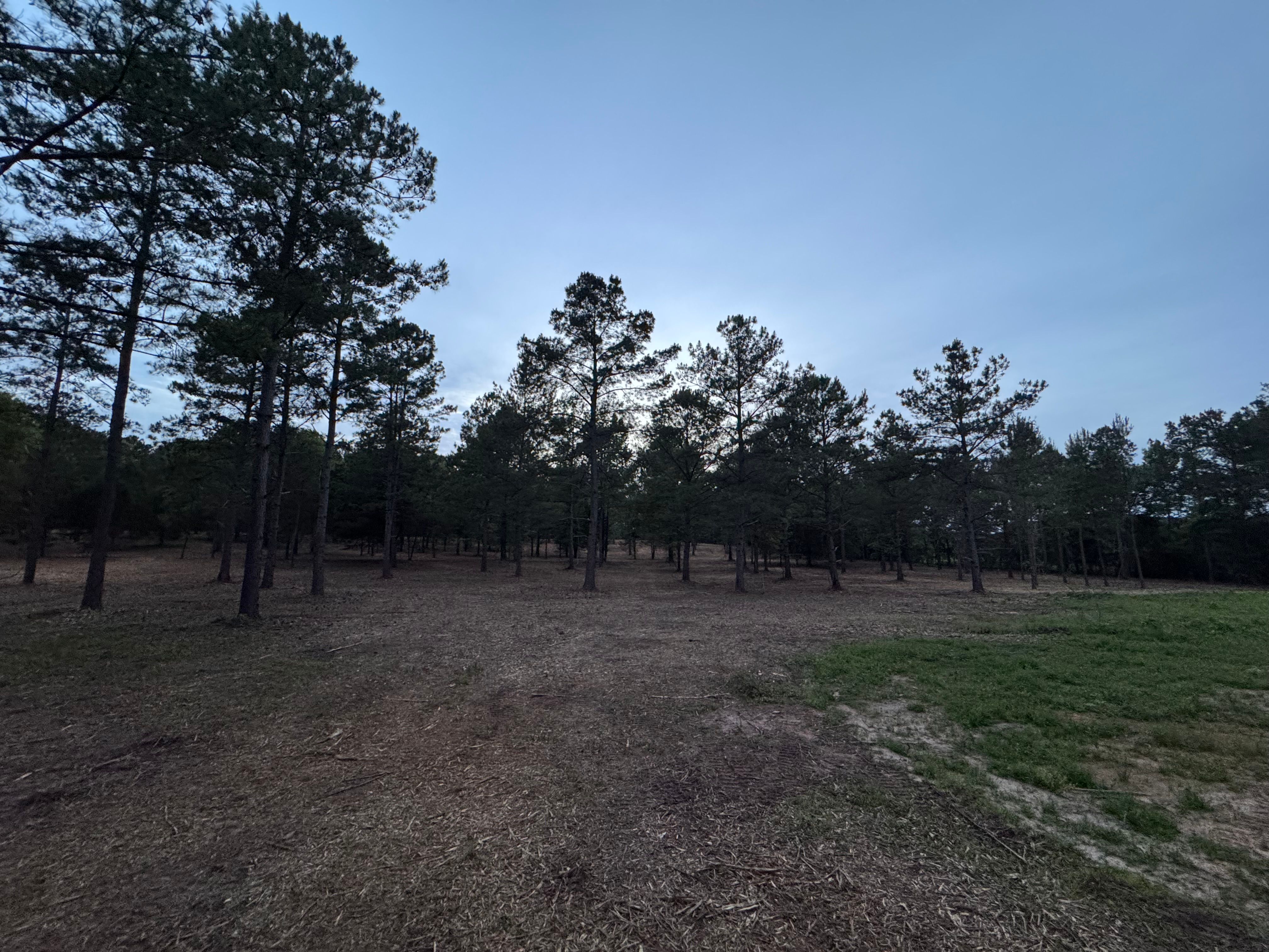  for Bryant's Land Services in Forsyth, GA