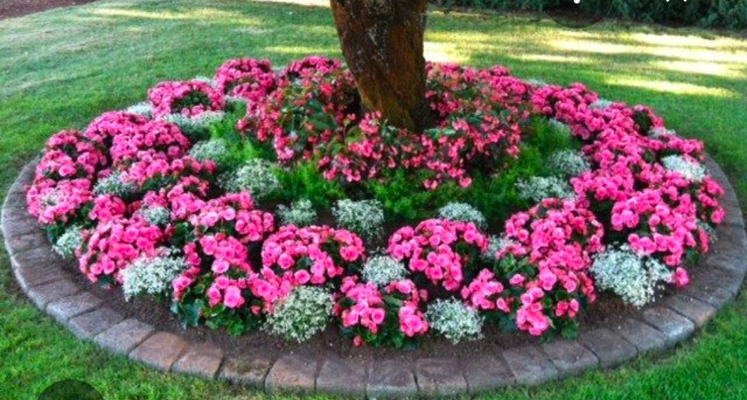  for Hightower Home Improvement and Garden in Atlanta, GA