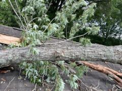  for Chipper's Tree Service  in Fort Payne, AL