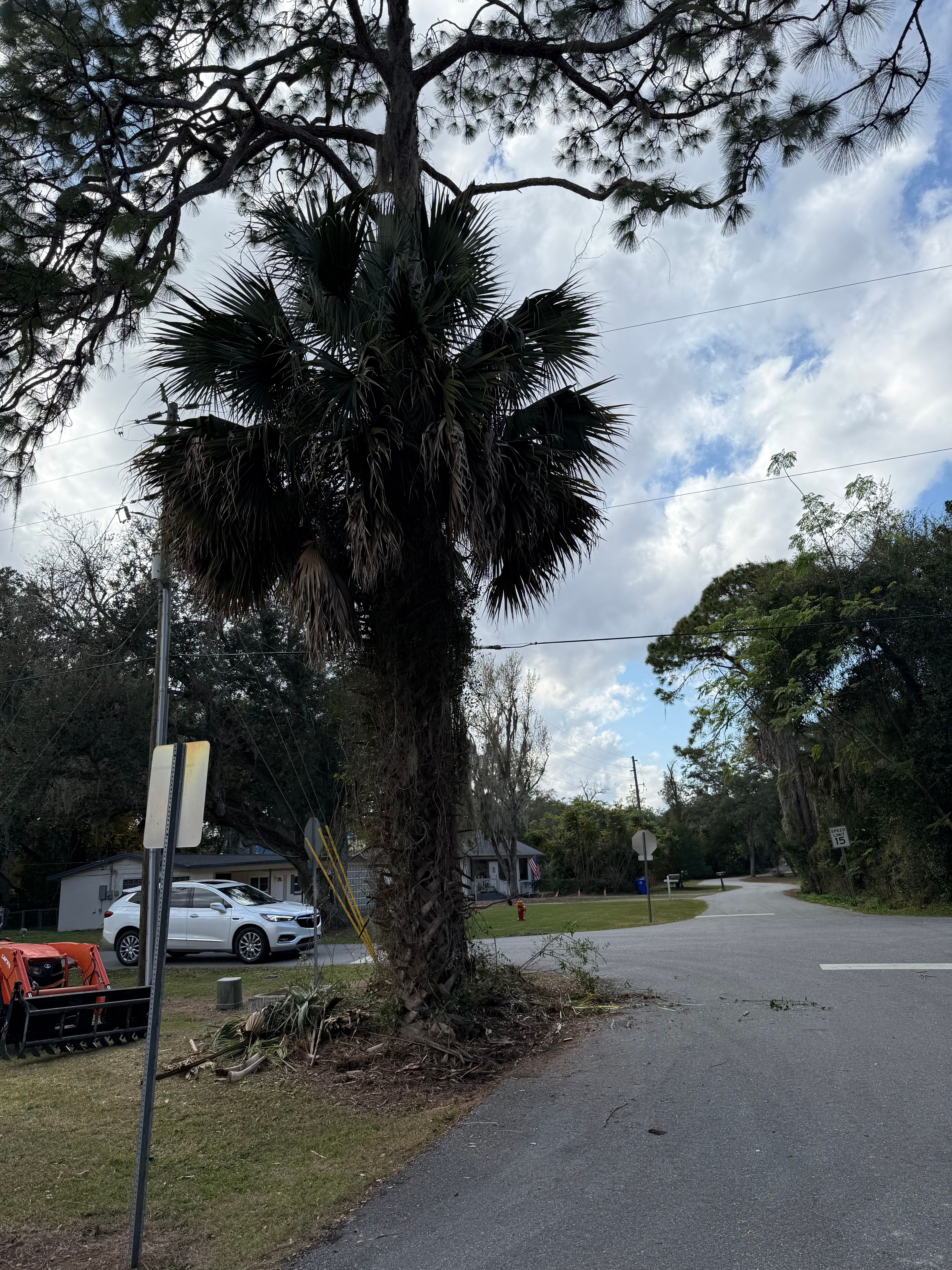  for Amerigrown Tree And Lawn in Apopka, FL