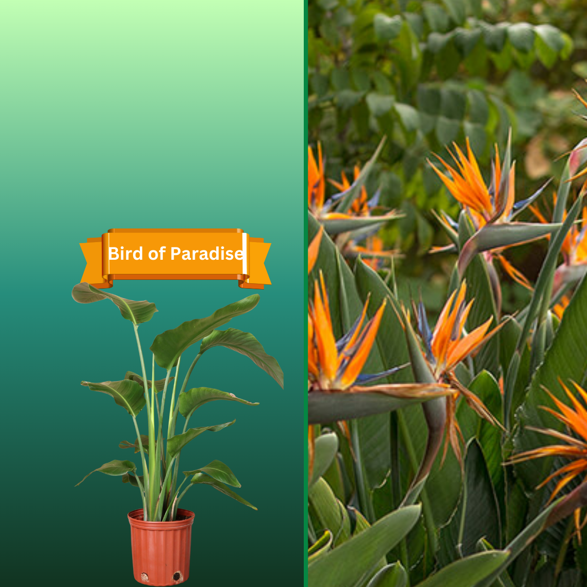  for R.B. & Company in Belleview, FL