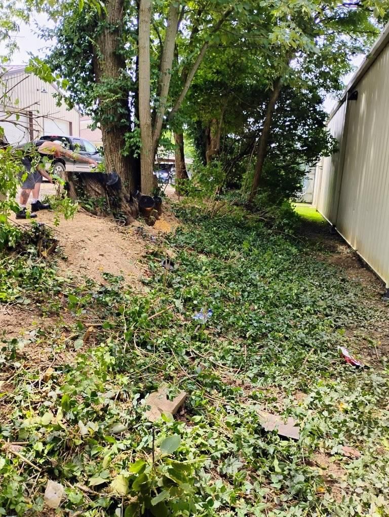  for Kingdom Tree Trimming and Removal LLC in Covington, KY