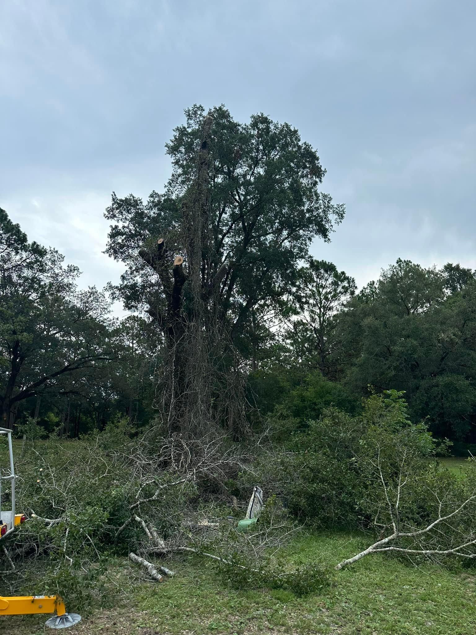  for White’s Land Maintenance in Milton,, FL