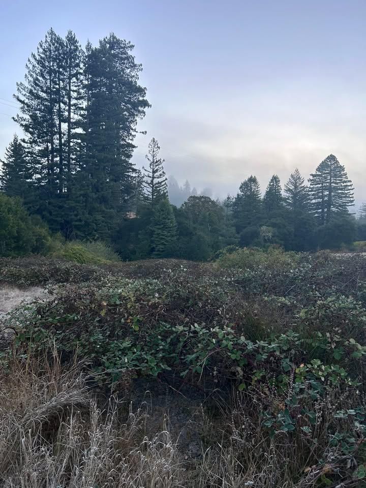  for J. Orozco & Sons Ent in Philo, CA