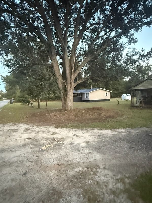 Tree Removal for Hawkins Tree Service & Land Management in Richmond Hill, GA
