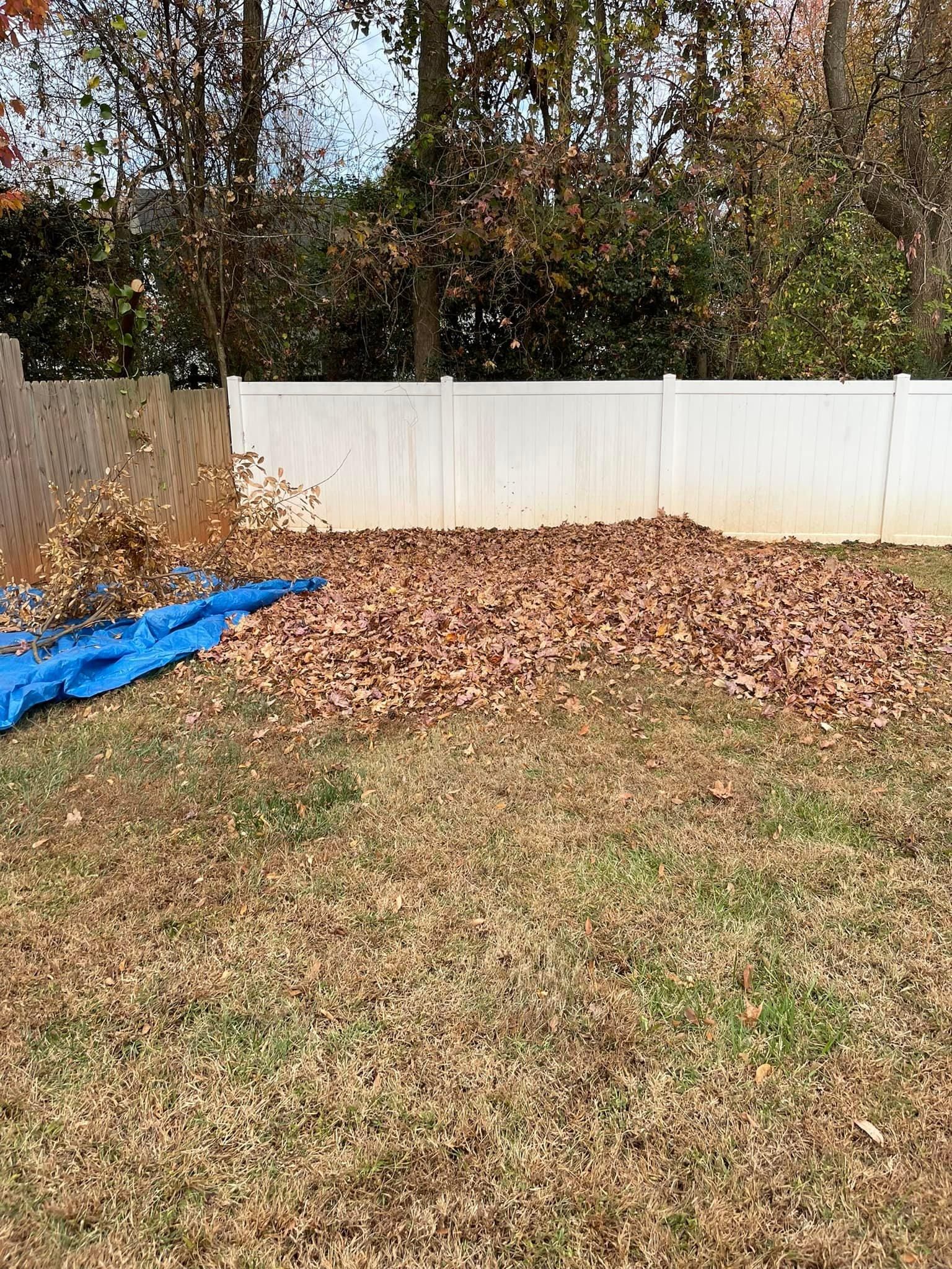  for Stem Tree Service in Belmont, NC