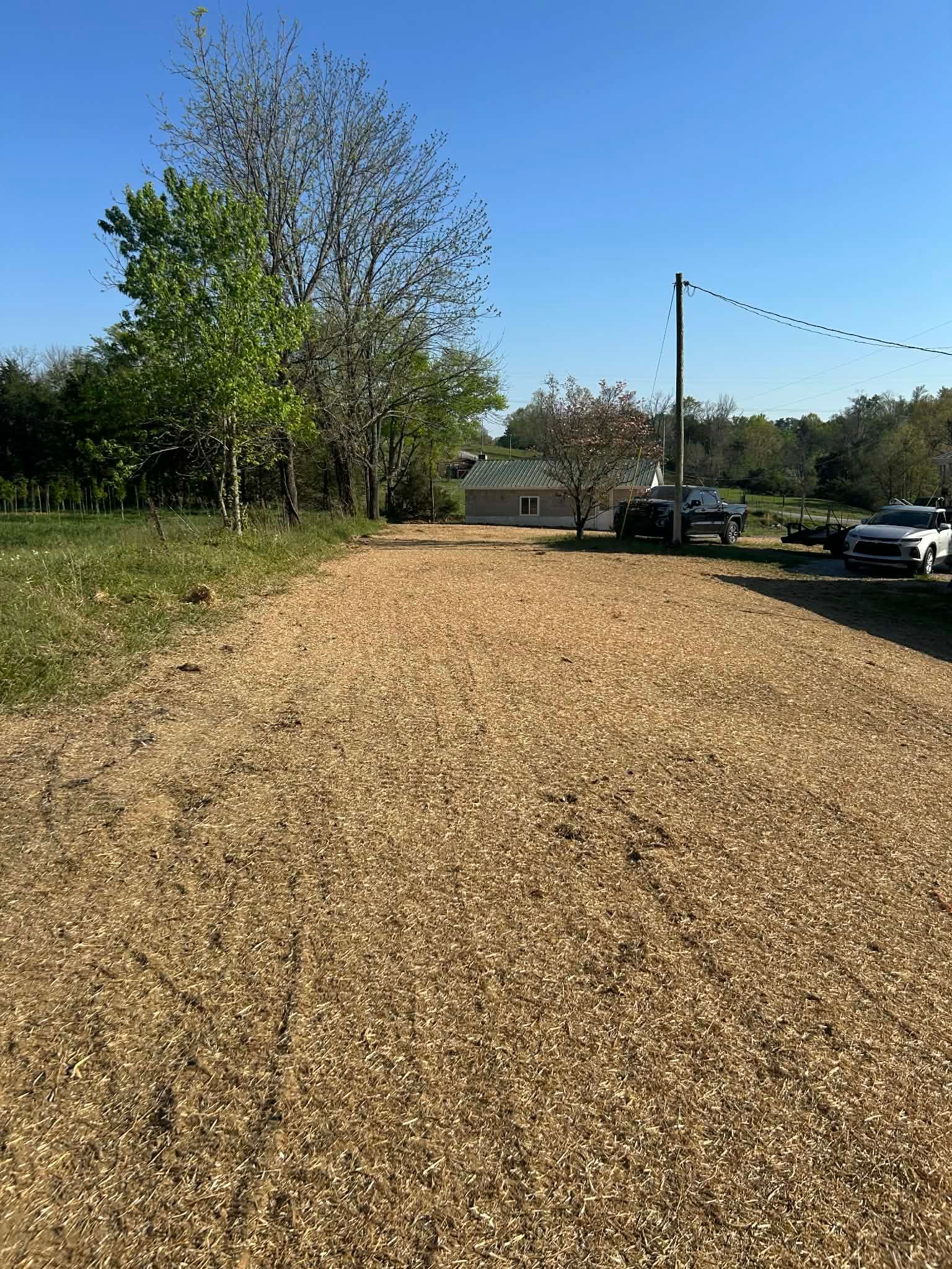  for Z's Land Management & Forestry Mulching in Smithville, TN