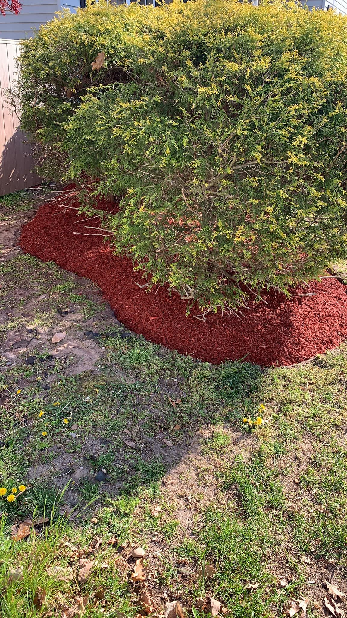 Tree Removal for Jason's Tree Service in Marlton, NJ