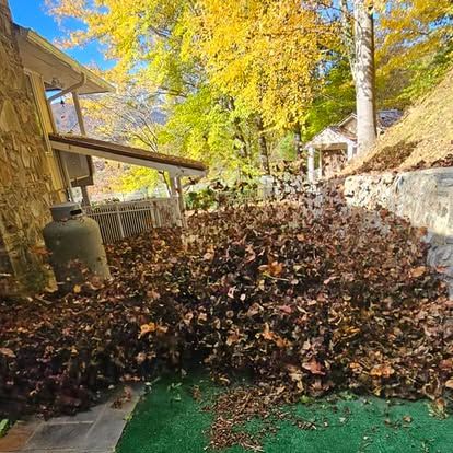  for Lopez Landscaping and Tree Service  in Waynesville, NC