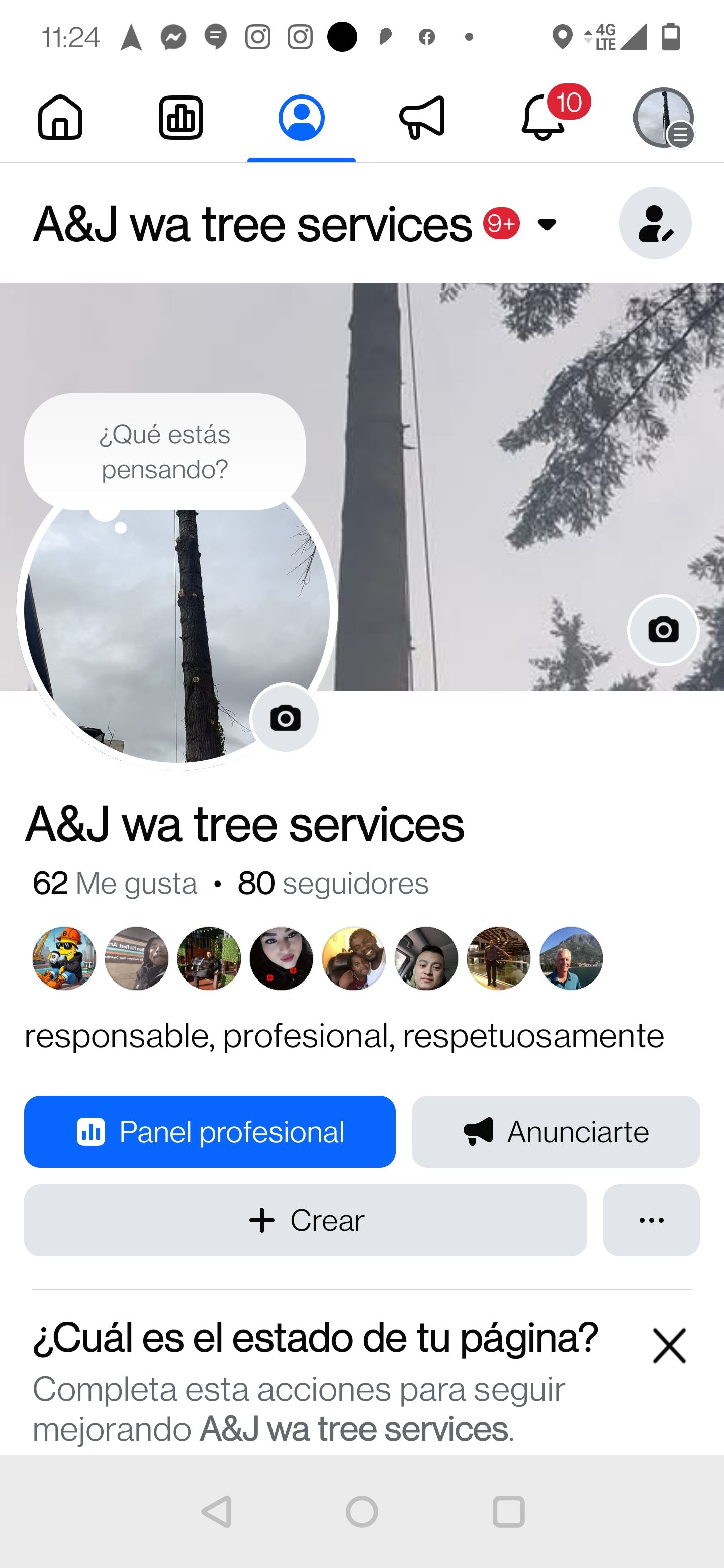All Photos for A&J WA Tree Services in Kent, WA