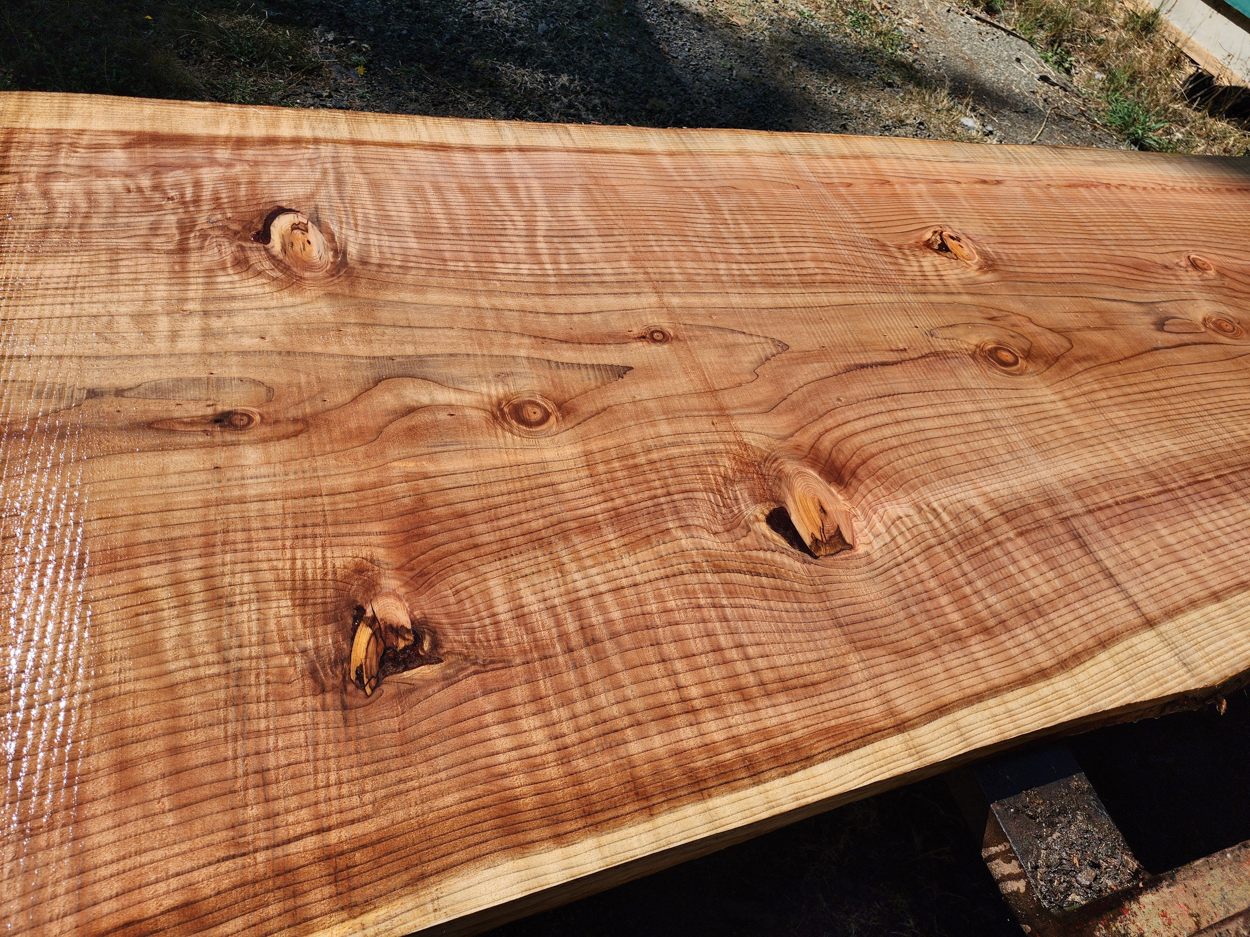  for The Baskins Sawmill in Port Angeles,  WA