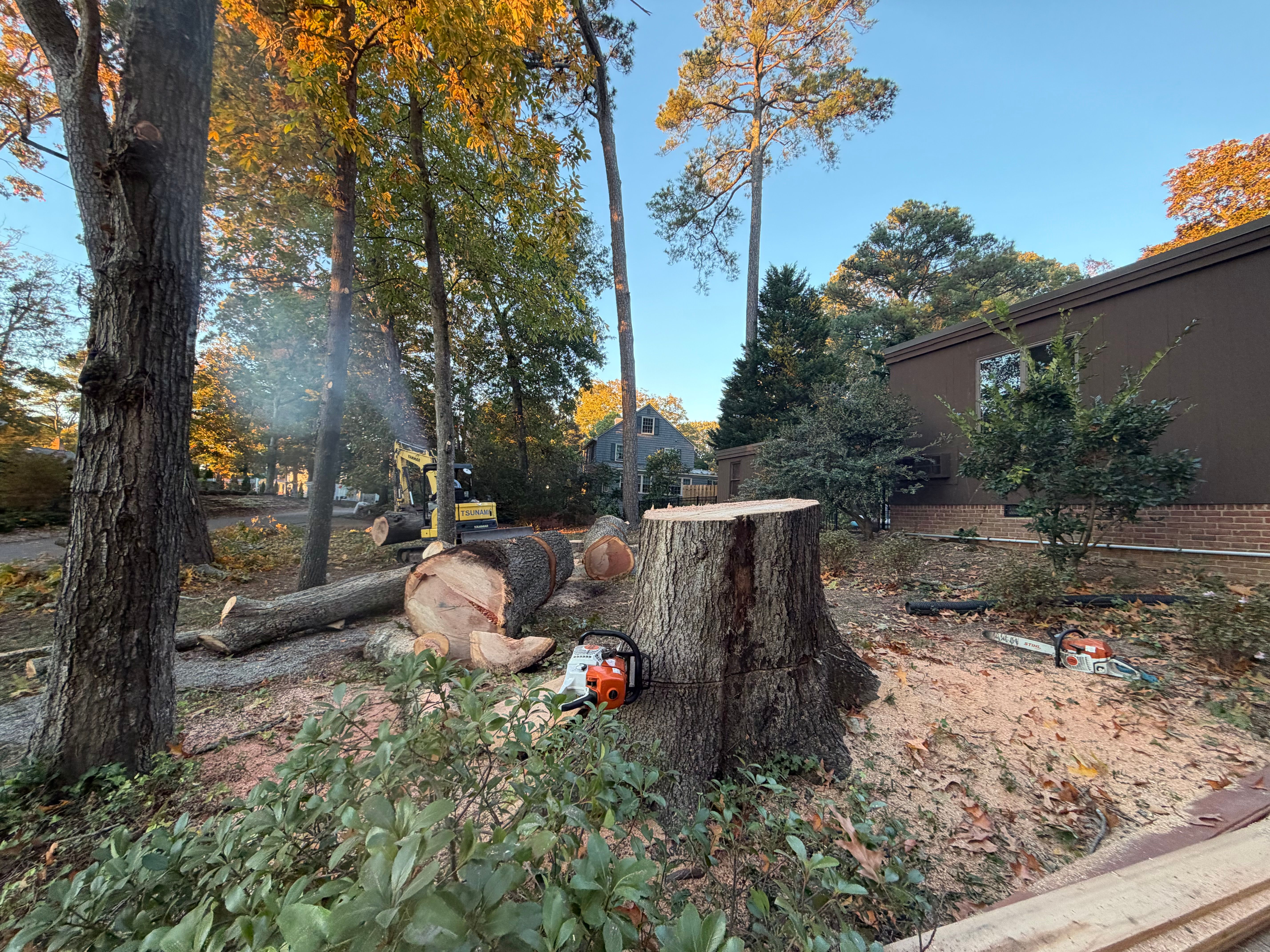  for Tidewater Tree Service in Chesapeake, VA