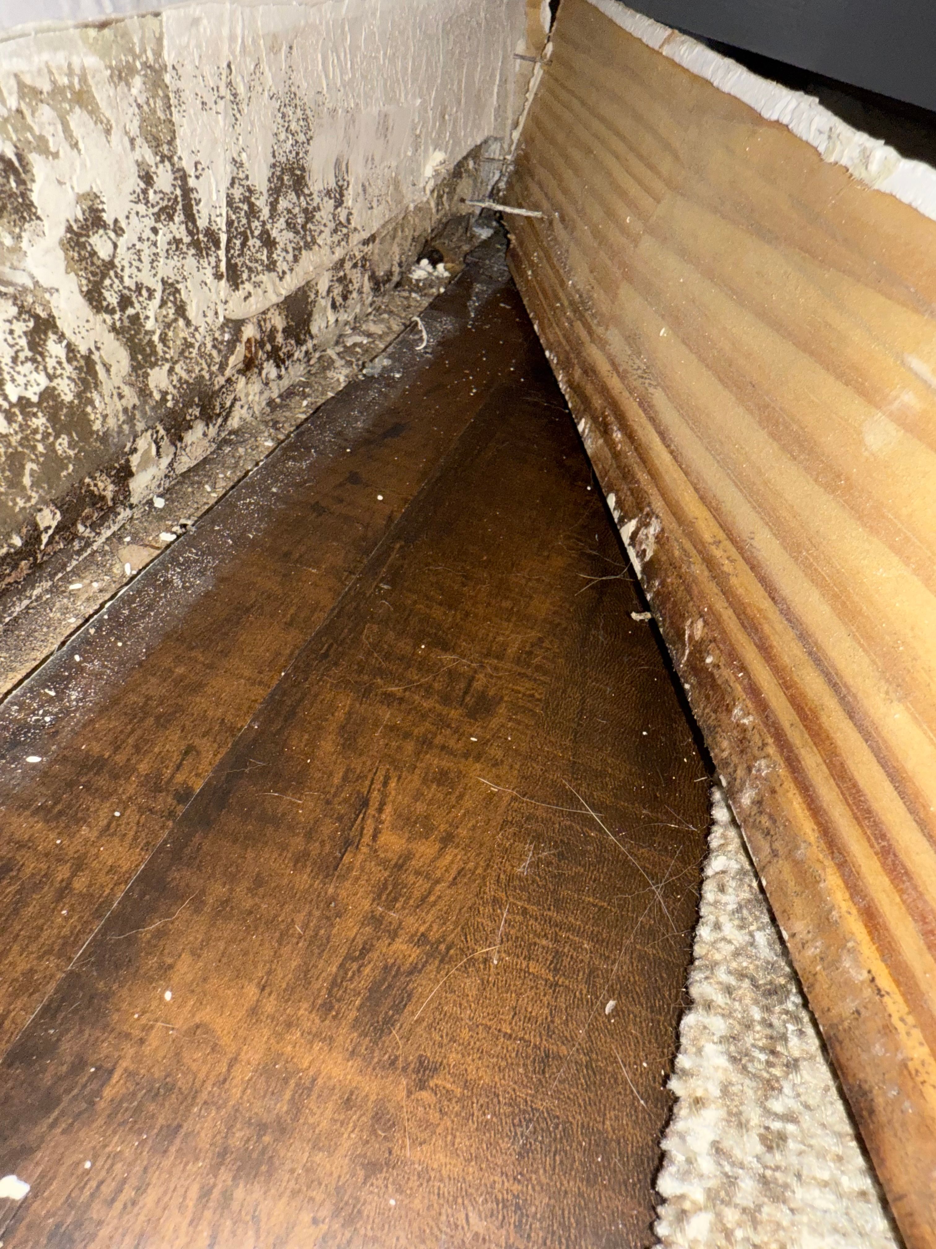  for N&D Restoration Services When Disaster Strikes, We Come In in Cape Coral,  FL