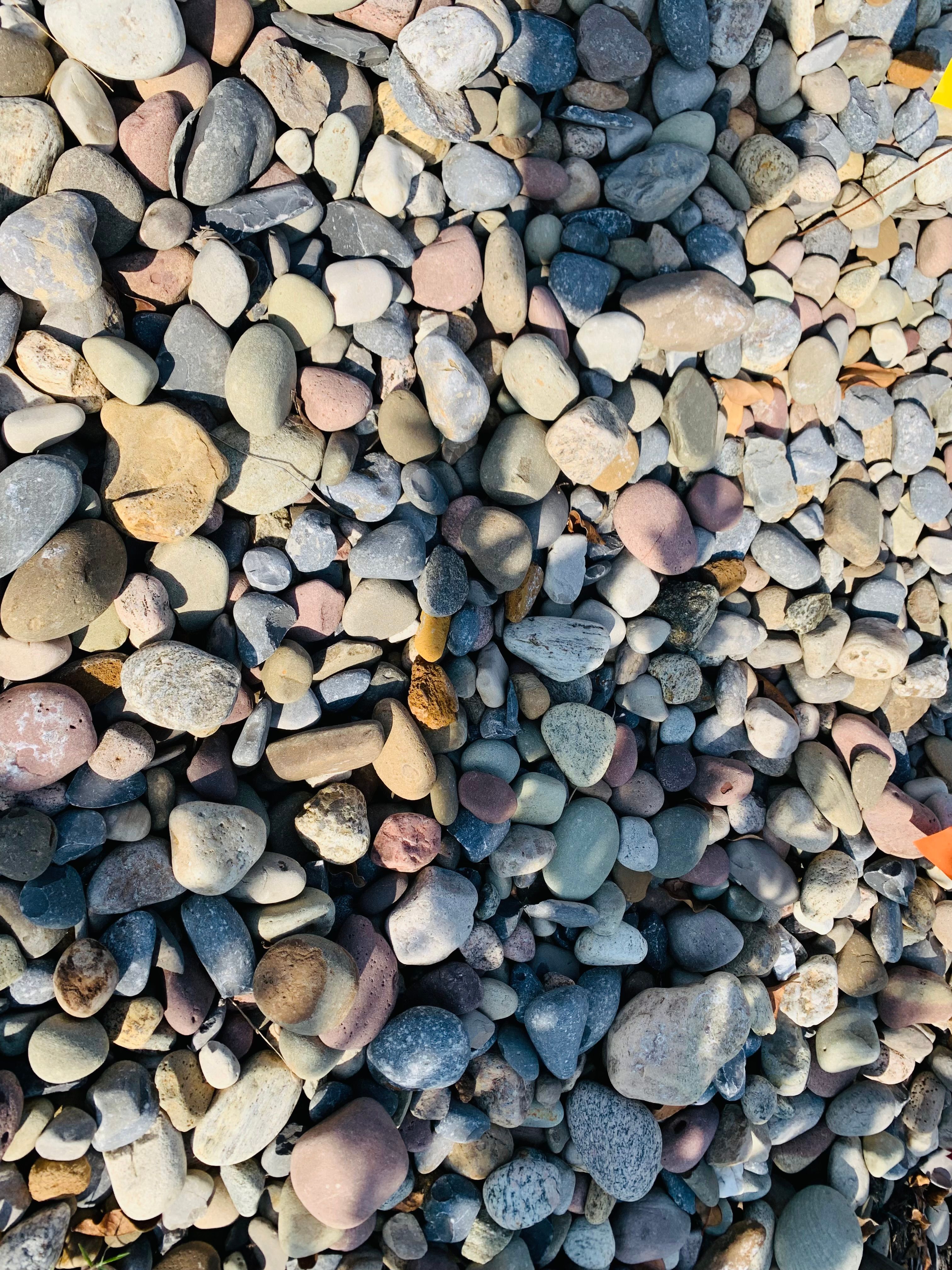  for New Creation Landscaping in Myrtle Beach, SC