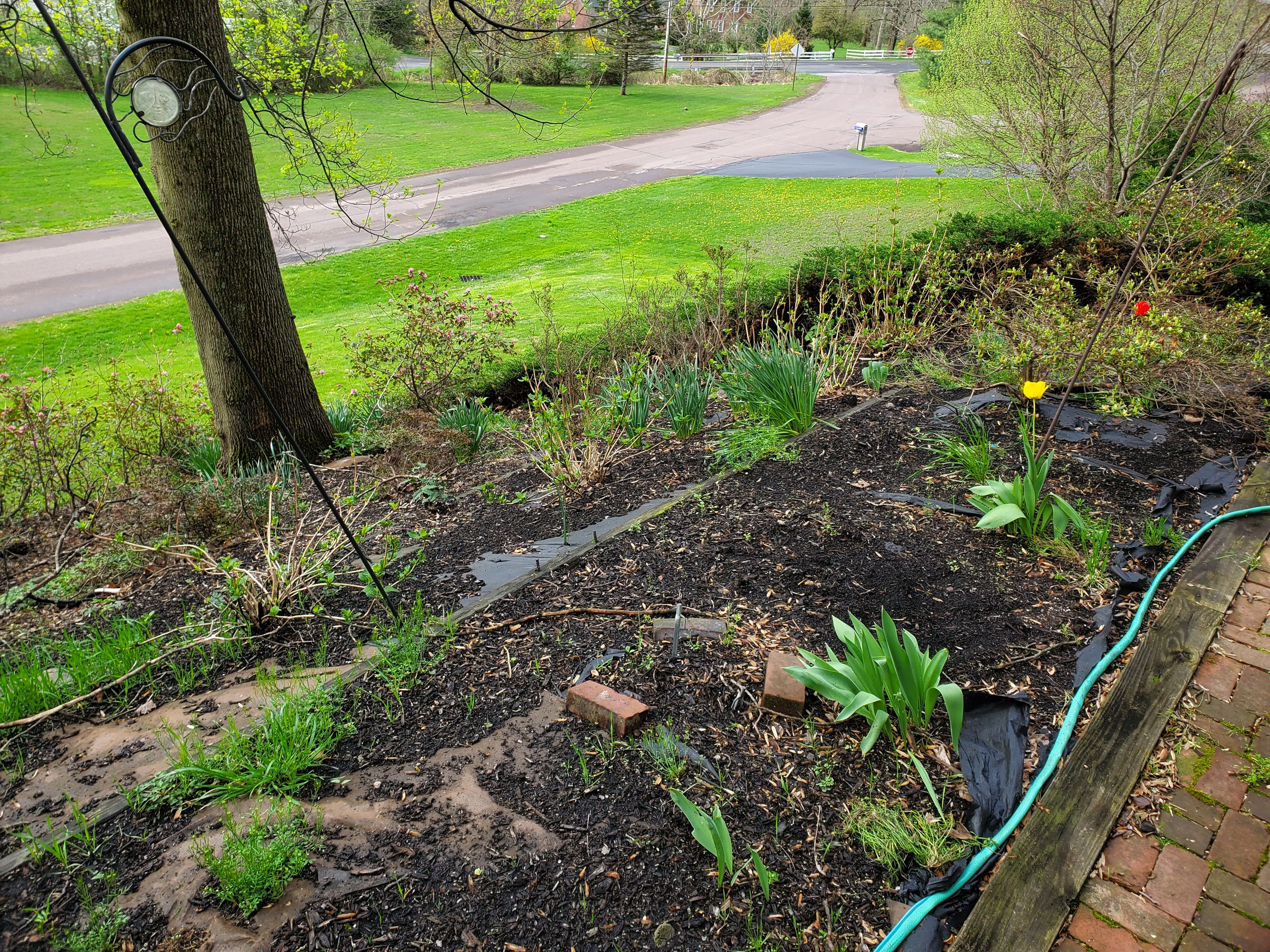  for Down Home Landscaping in Stillwater, PA