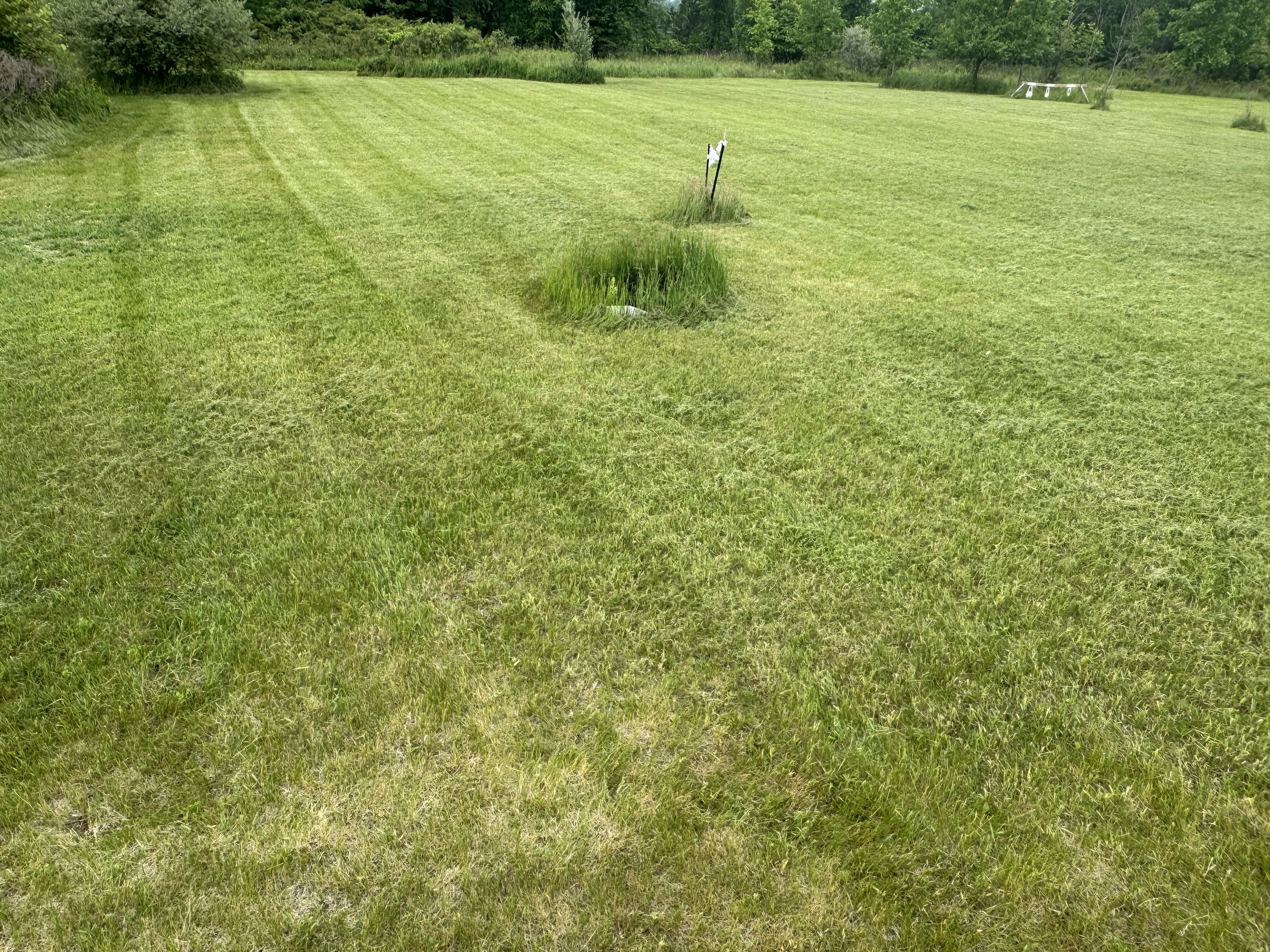  for Daugherty's Tough Lawn Care in Essexville, MI