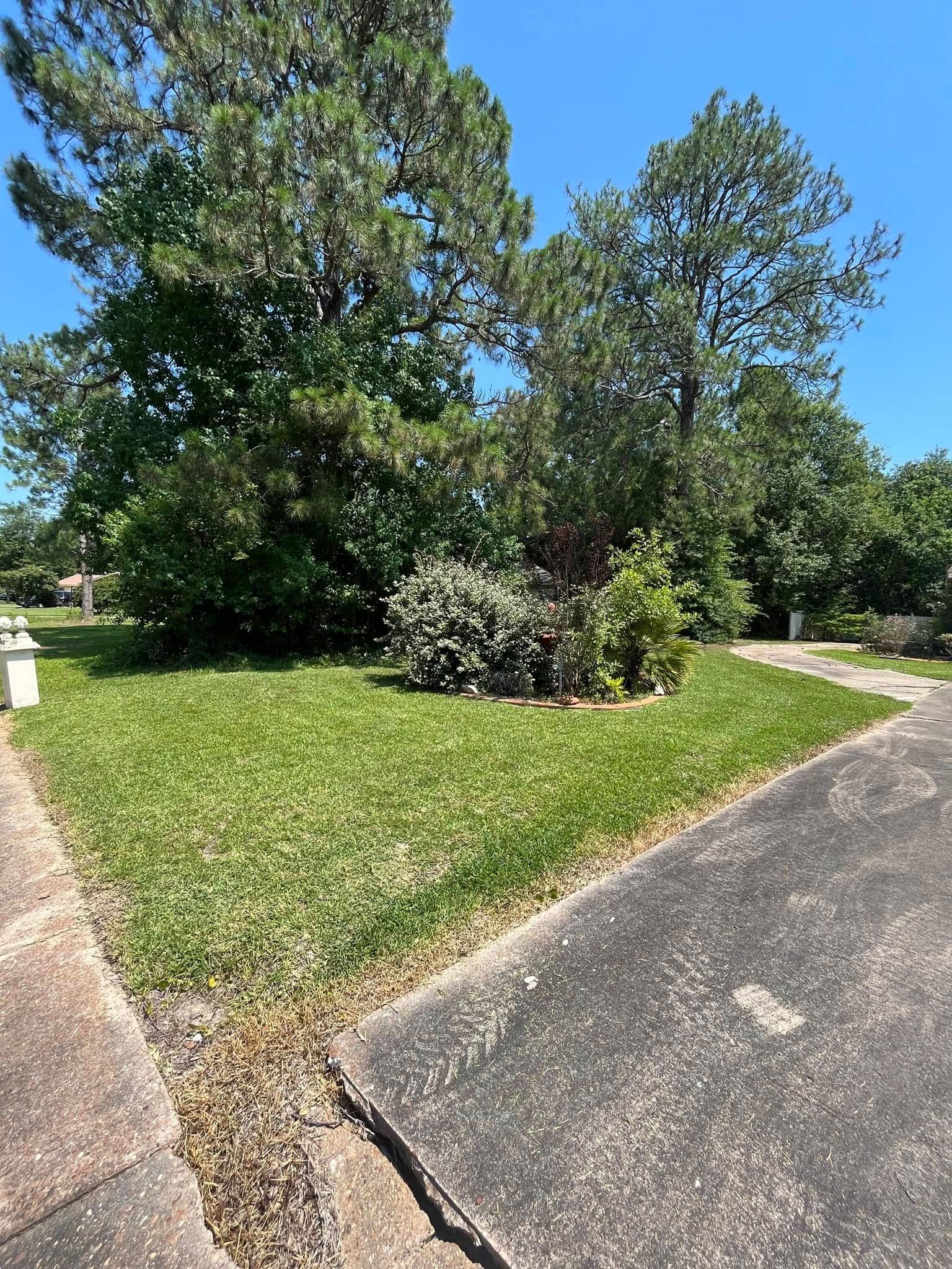  for Landscaping Pros in Hurley, MS