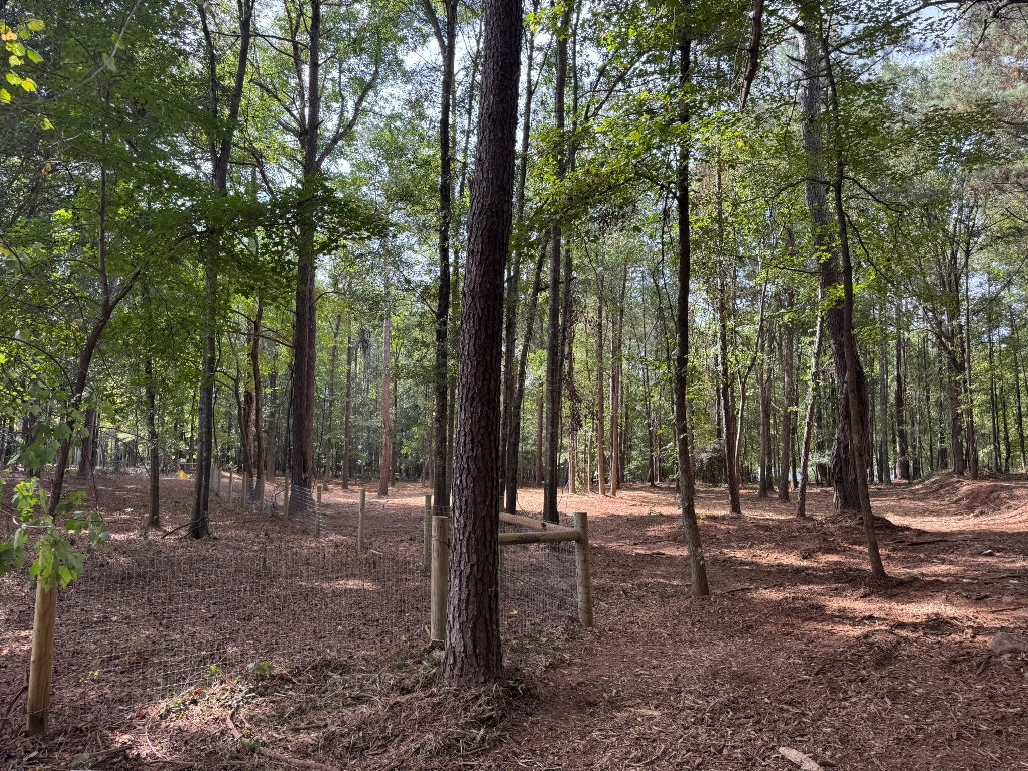  for KLNAX Enterprises in Newton County, GA