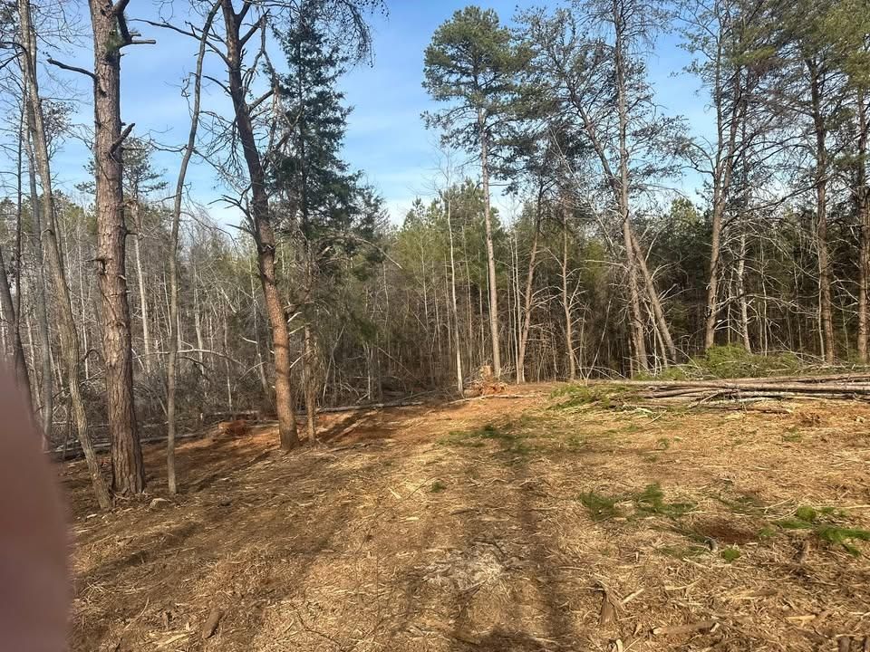  for Toney Site Services in Rutherford County, NC