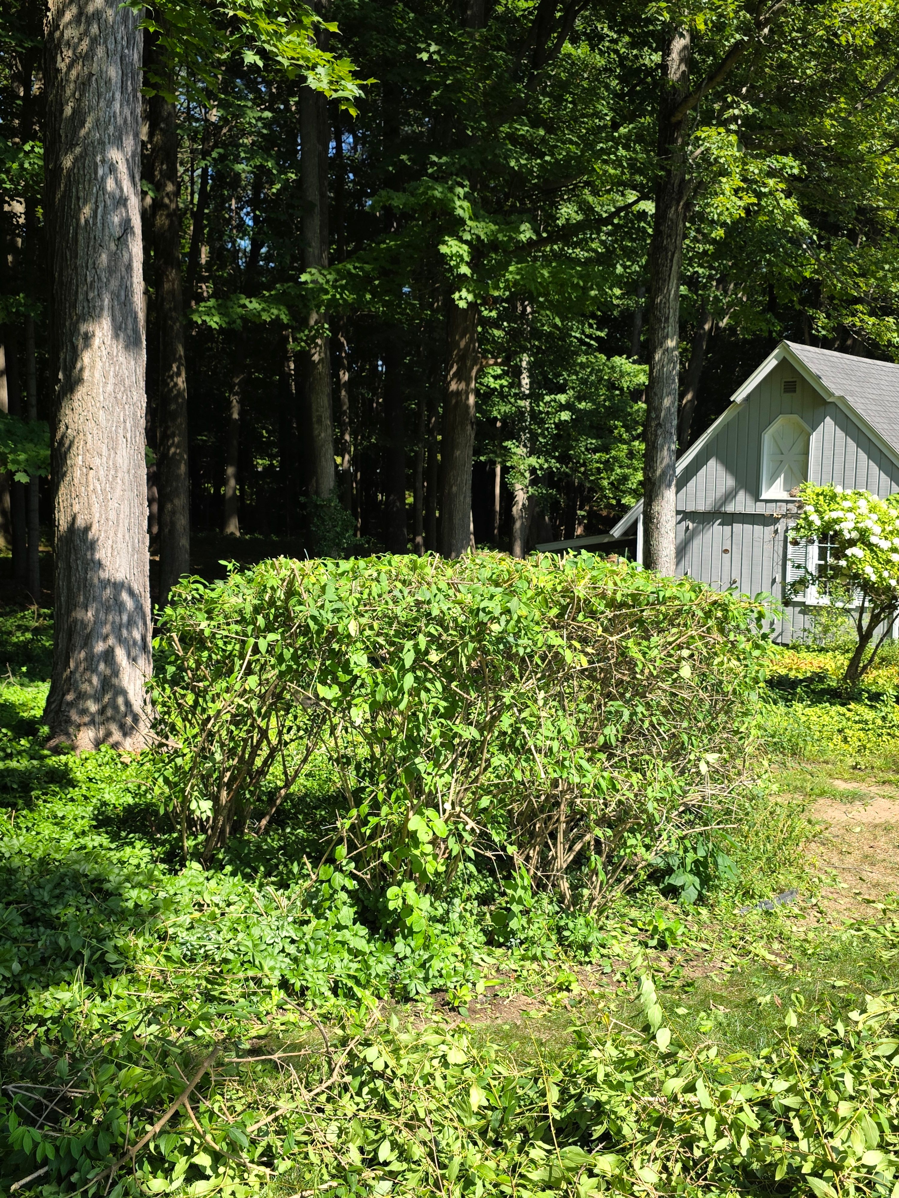  for Sweet Scapes in Ballston Spa, NY