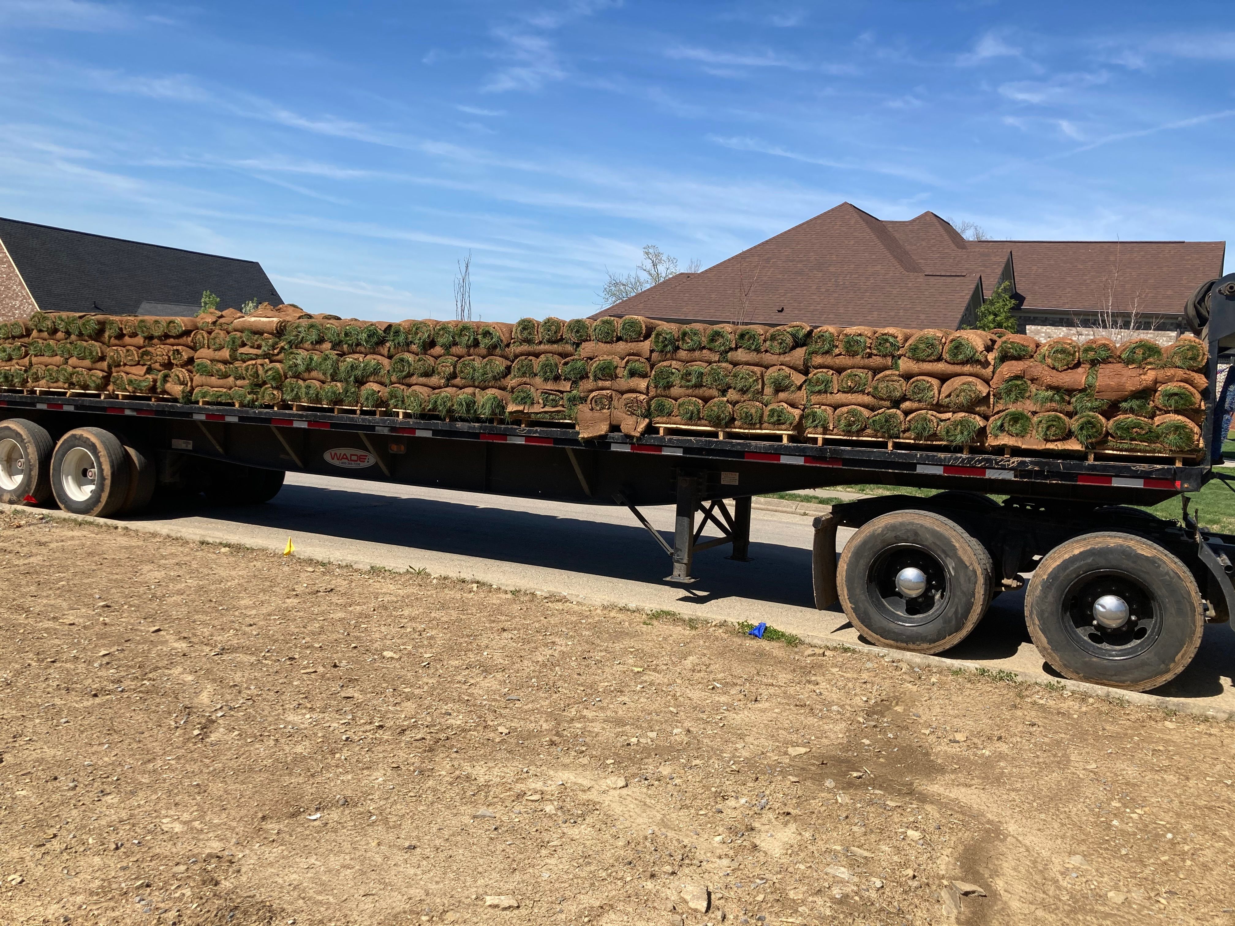  for Grass Management in Nashville, TN