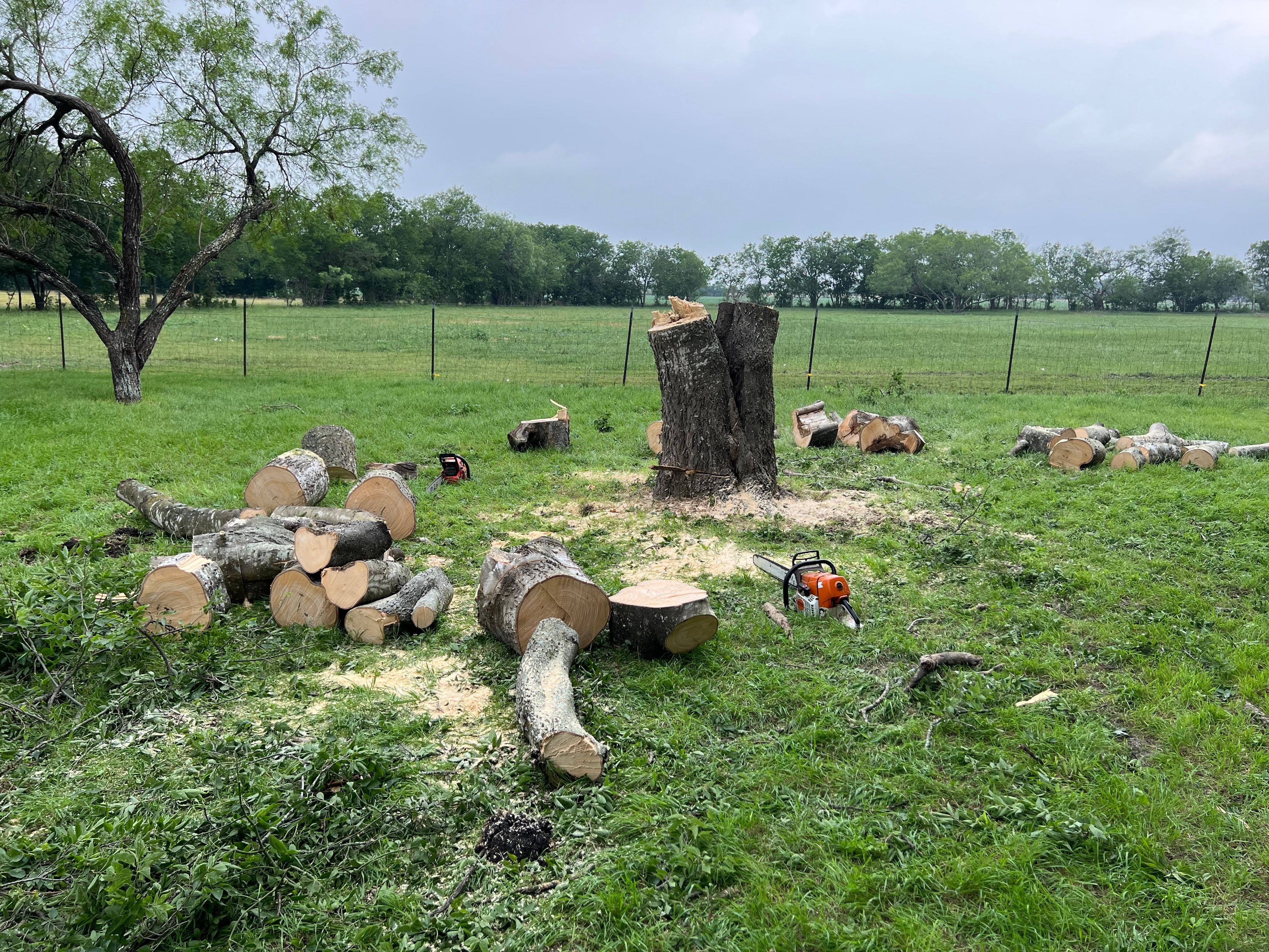  for DR Landscape in San Antonio, TX