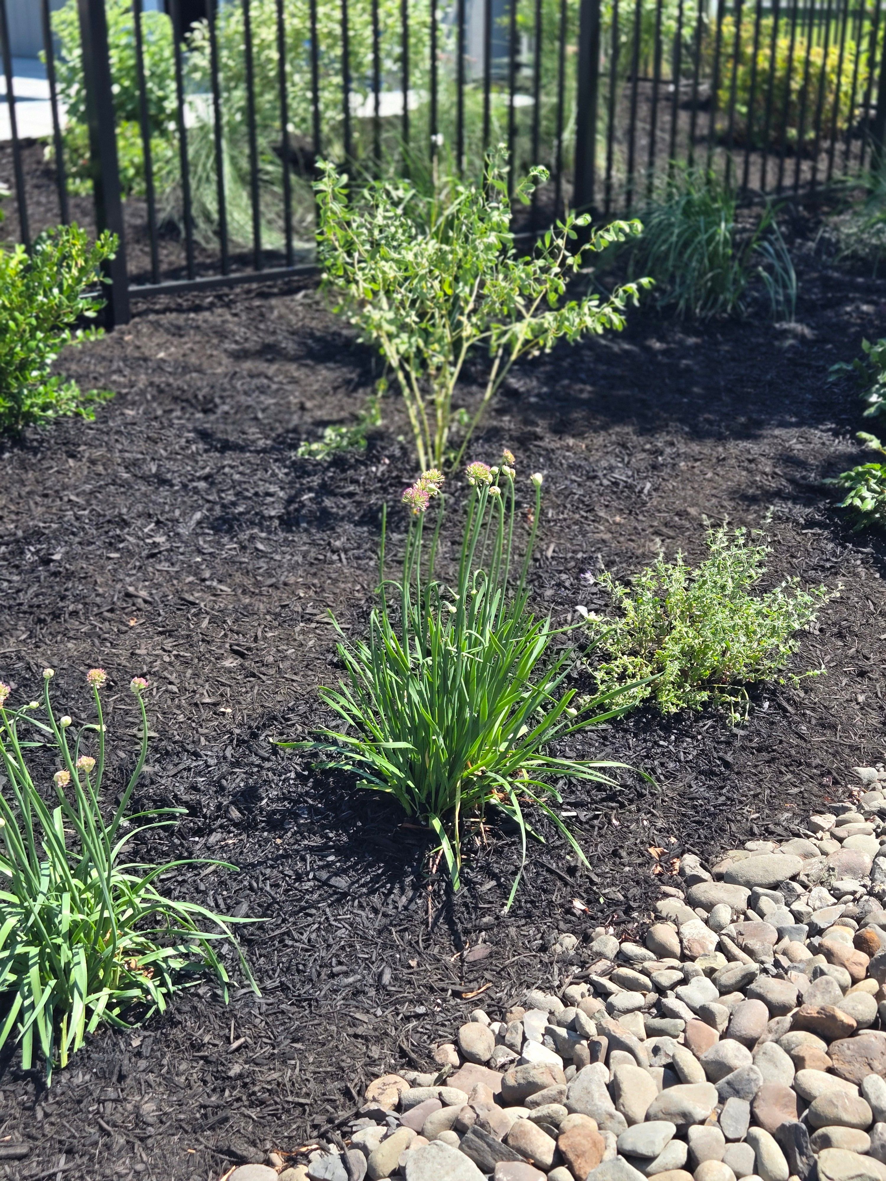  for Tony Monaco Landscaping Inc. in Orange County, NY