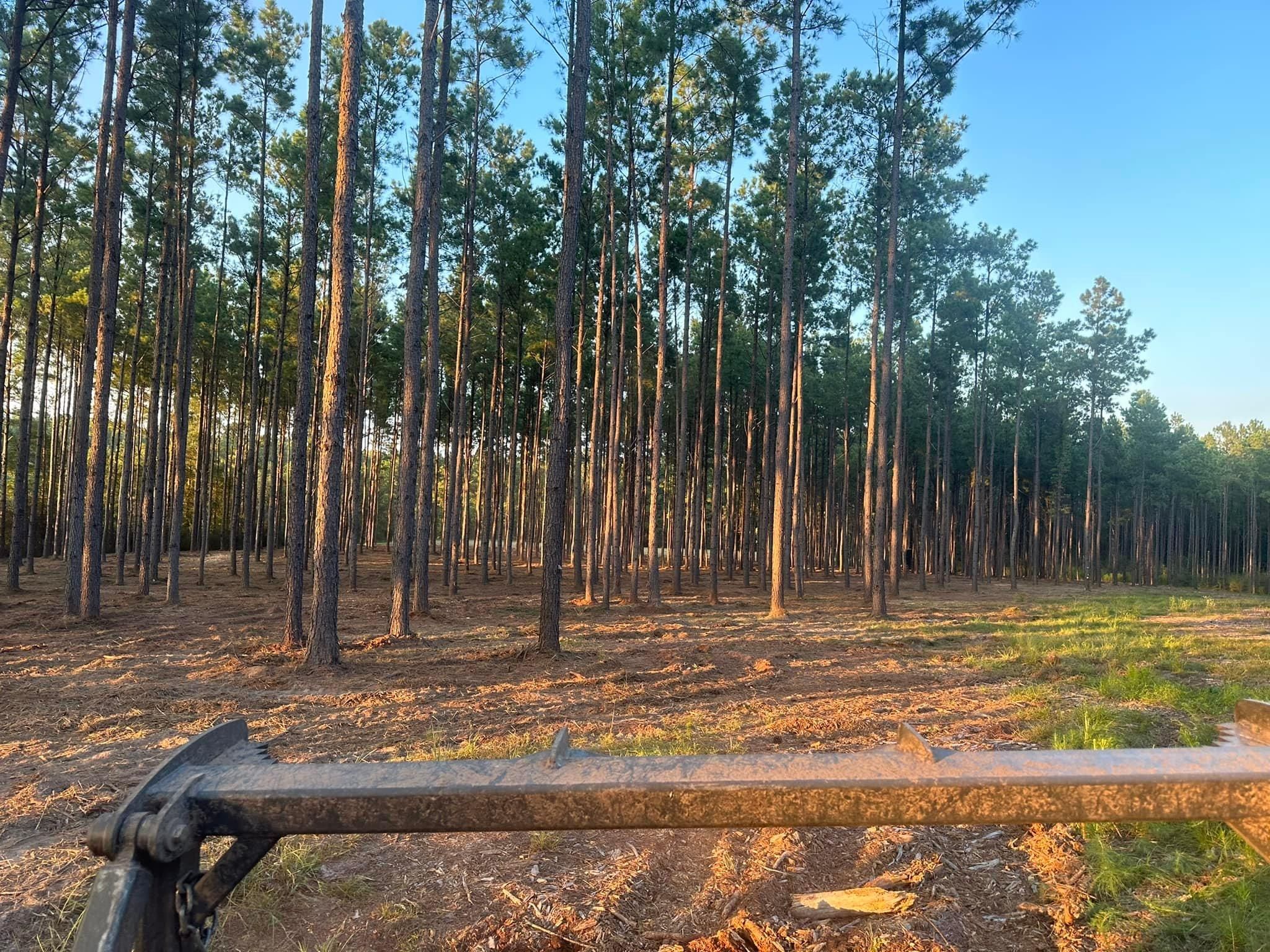  for White’s Land Maintenance in Milton,, FL