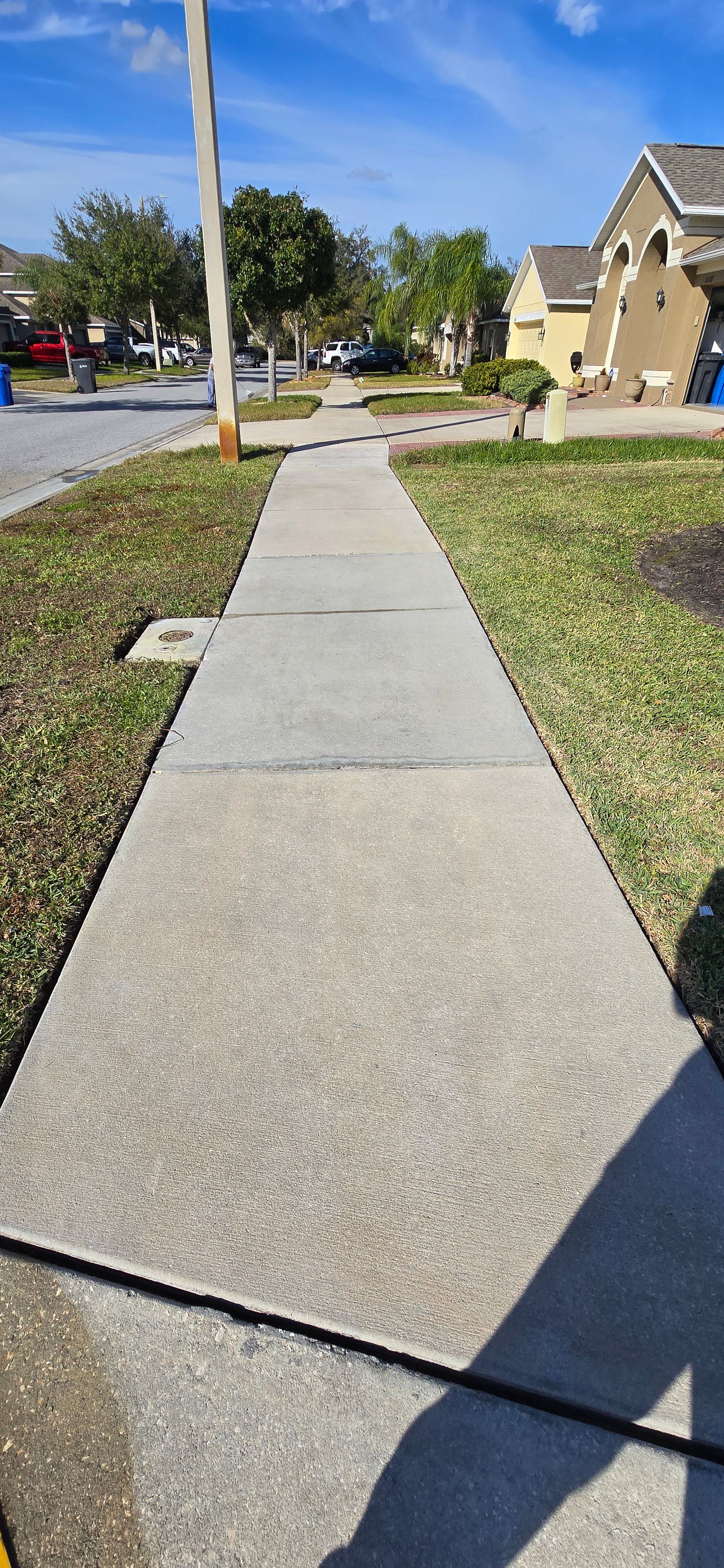  for Blue Stream Roof Cleaning & Pressure Washing in Tampa, FL