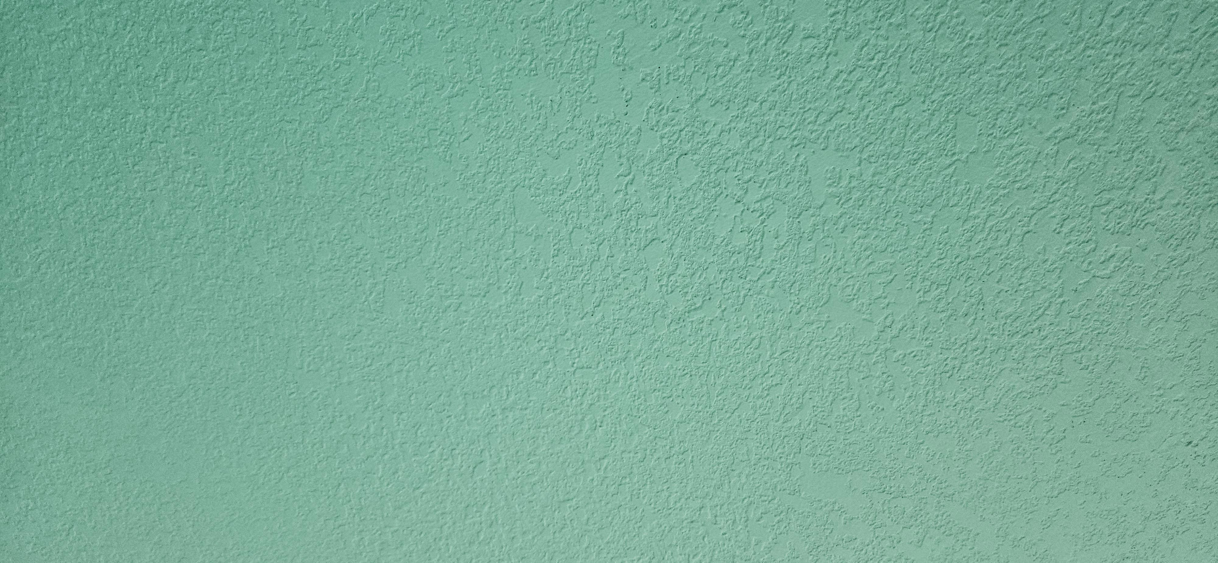  for FAADA in Palm Harbor, FL