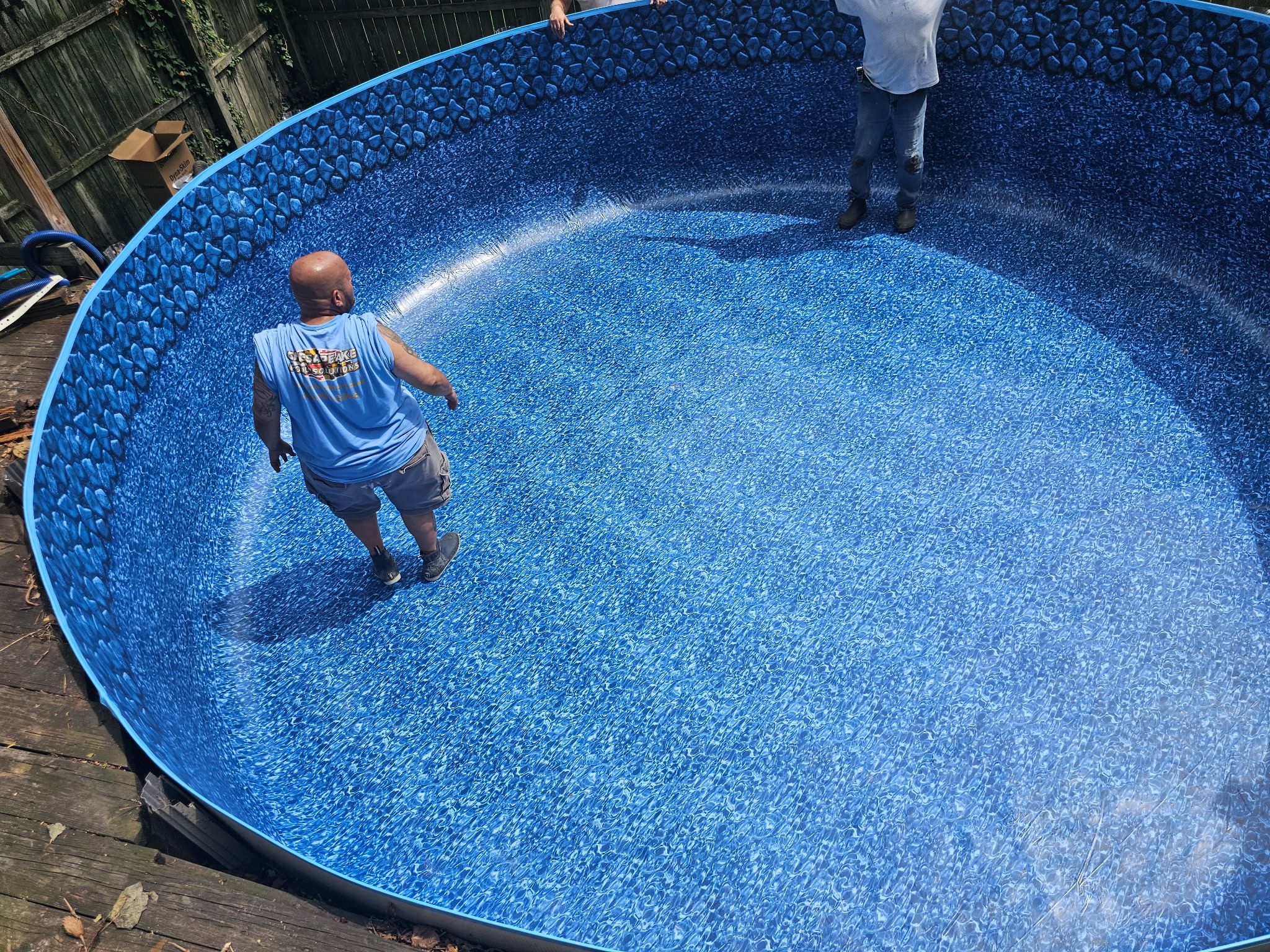  for Chesapeake Pool Solutions in Pasadena, MD