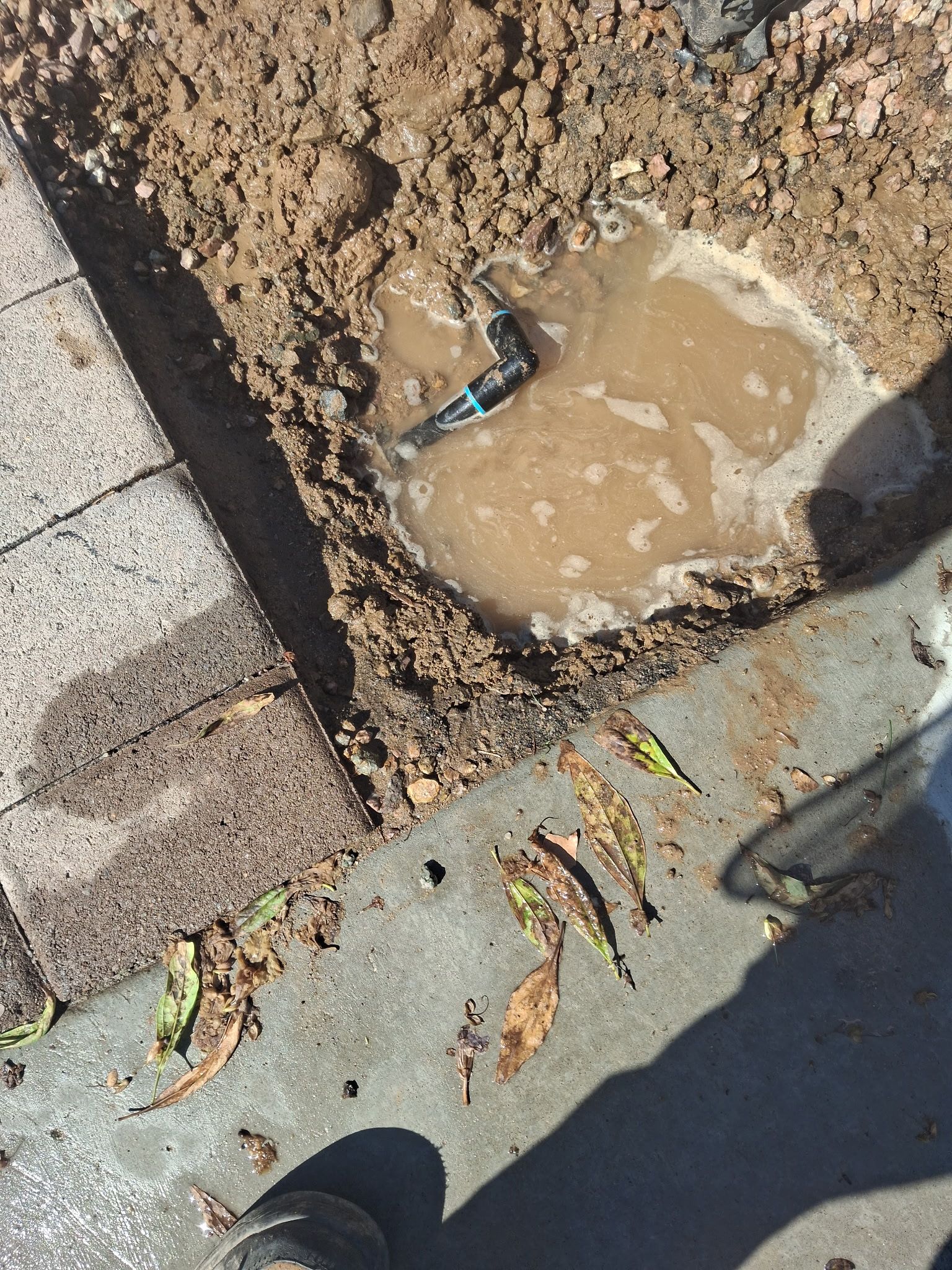  for Family Landscaping in Phoenix, AZ