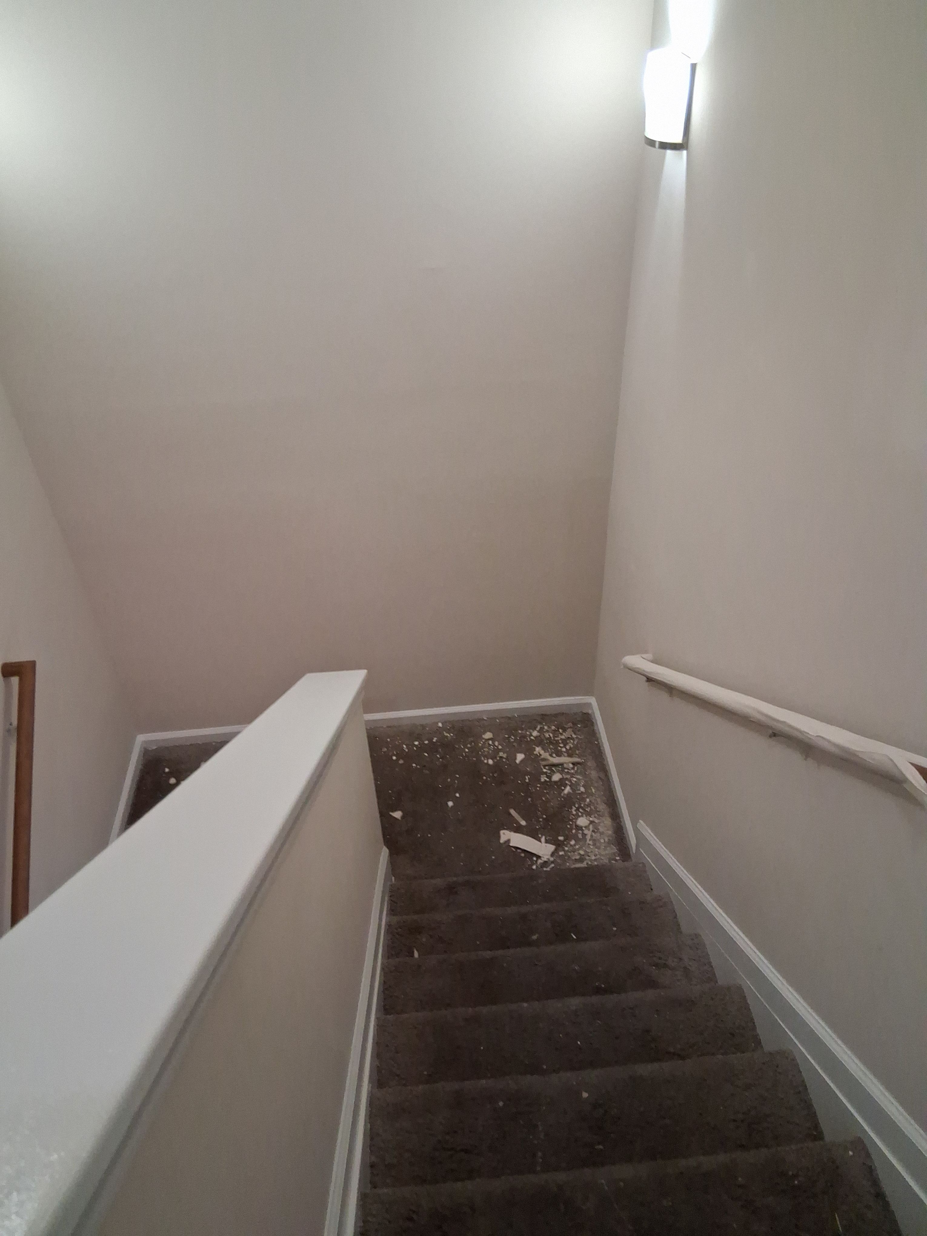  for Raw Paintings, Sheetrock Repairs and Cleaning in Columbia, SC