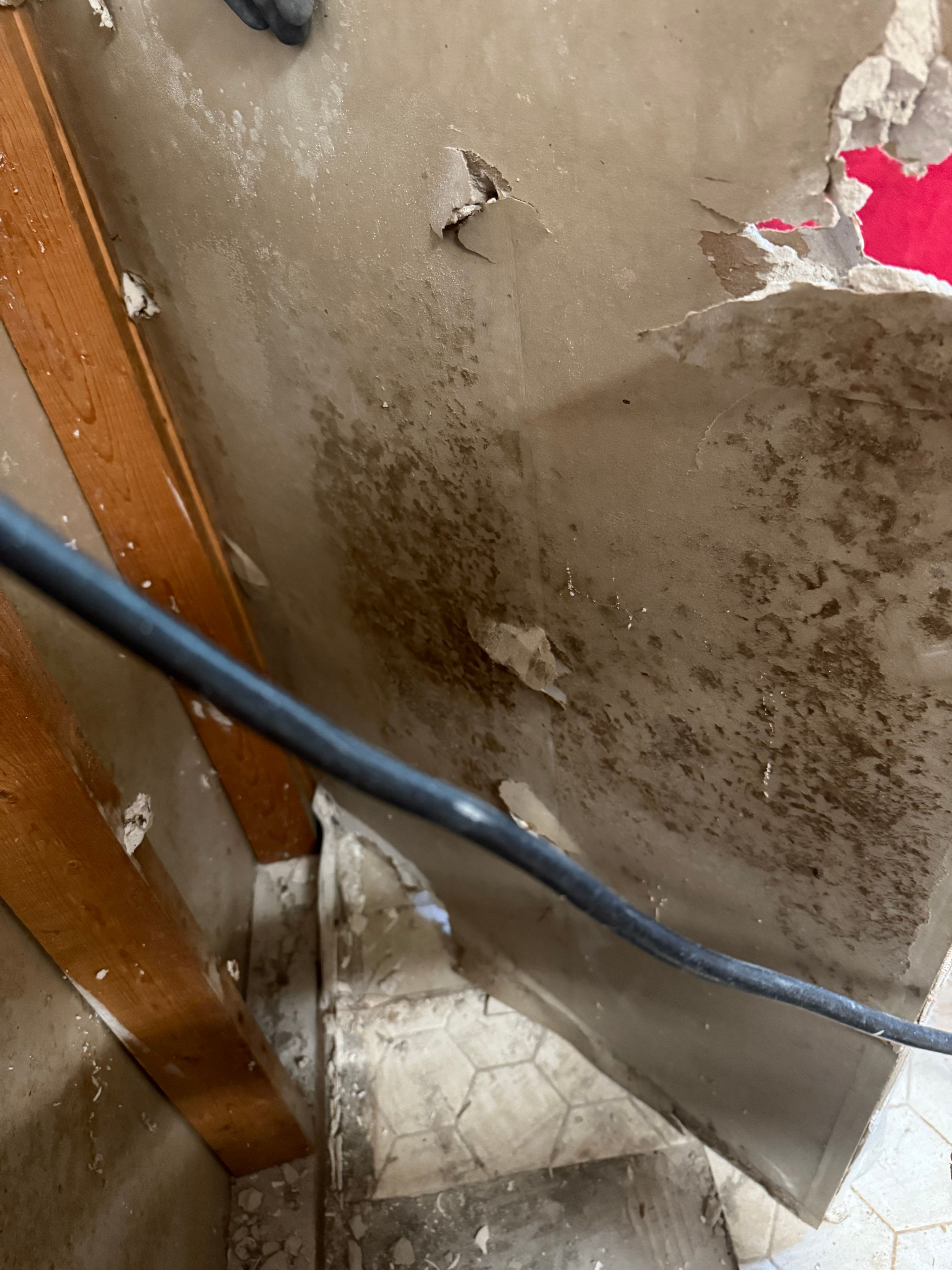  for N&D Restoration Services When Disaster Strikes, We Come In in Cape Coral,  FL