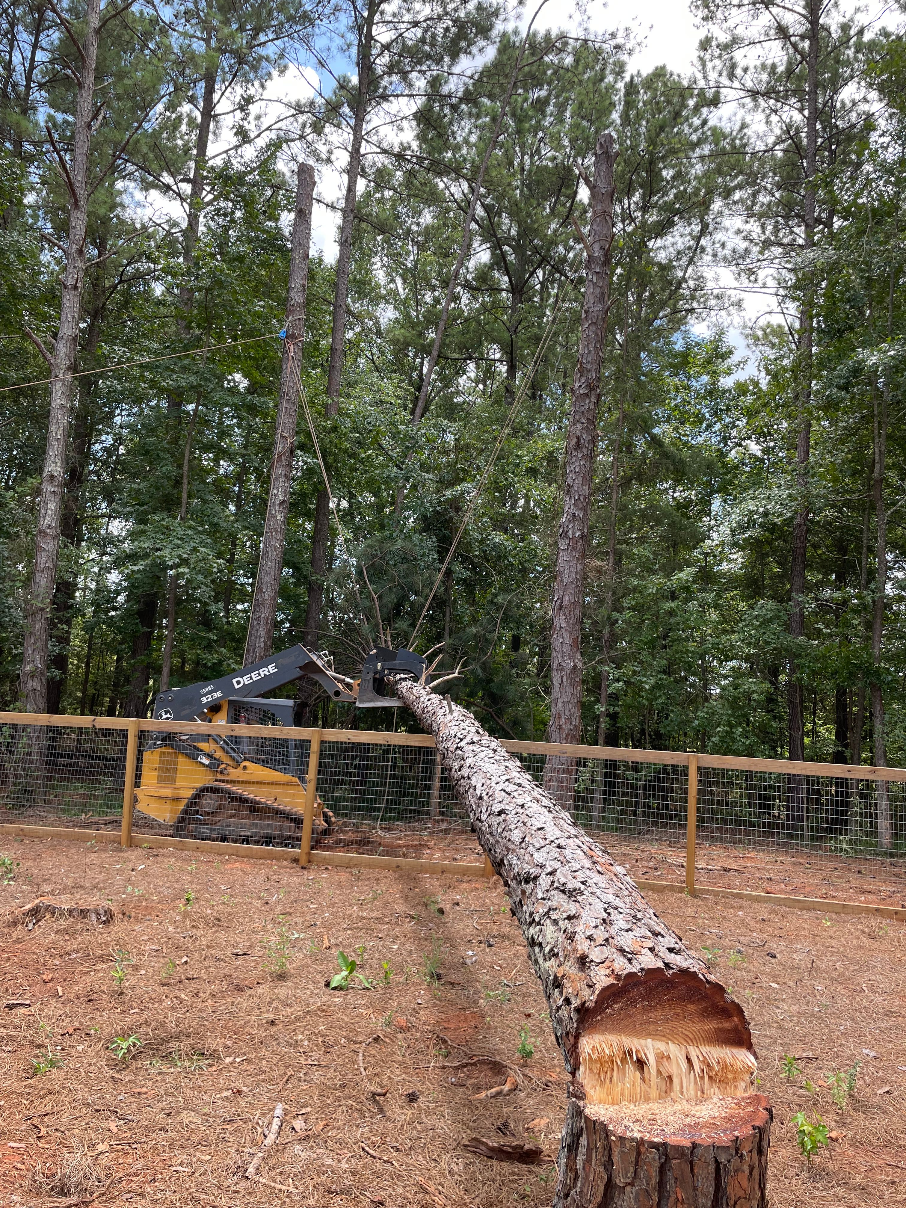  for ArborMax in Thomaston, GA