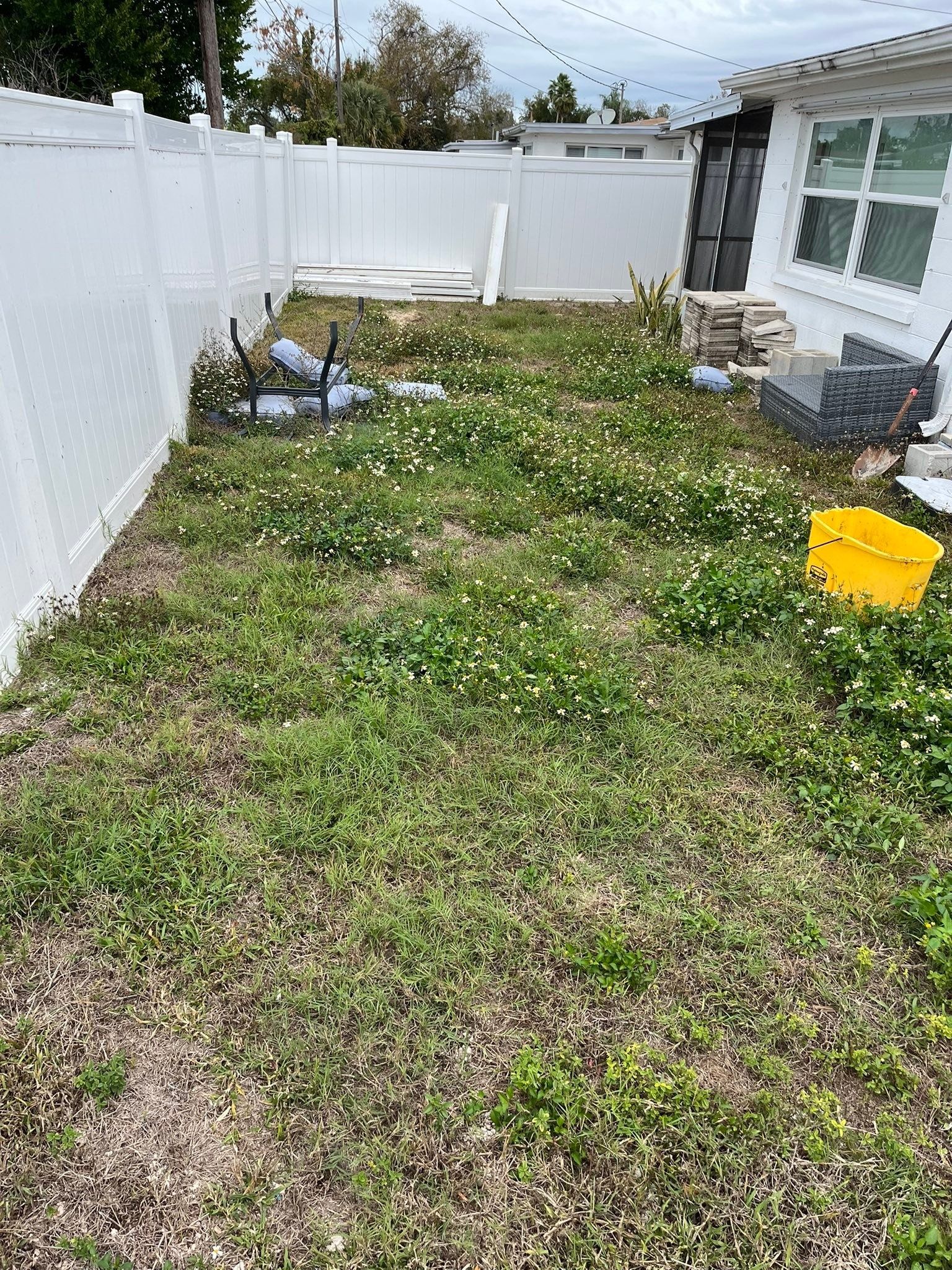  for Mitchell Lawn Service in Odessa, FL