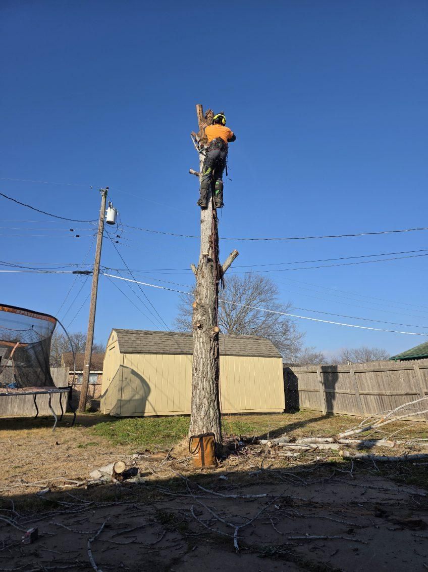  for Oklahoma Tree Guy in Bartlesville, OK
