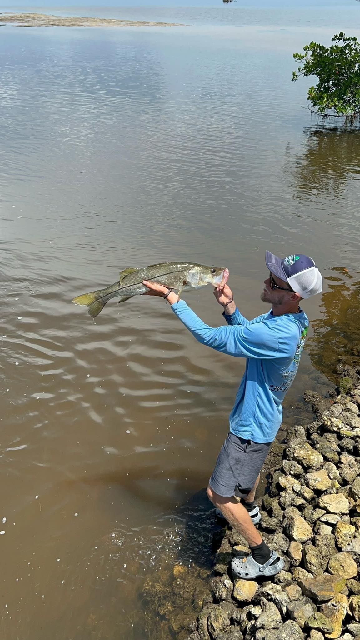  for Advanced Landscaping Solutions LLC in Fort Myers, FL