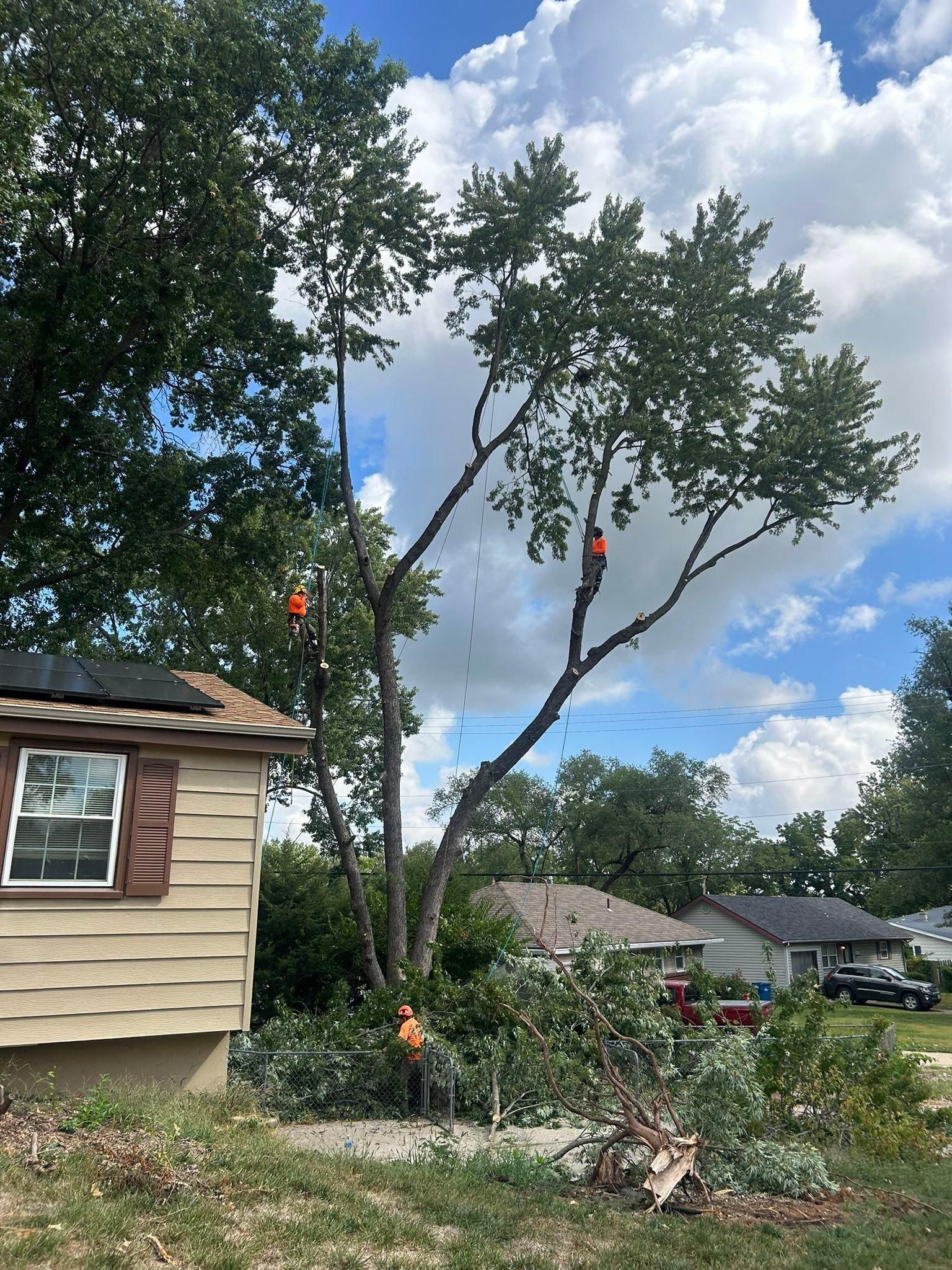 All Photos for Cross Family Tree Service in Kearney, MO